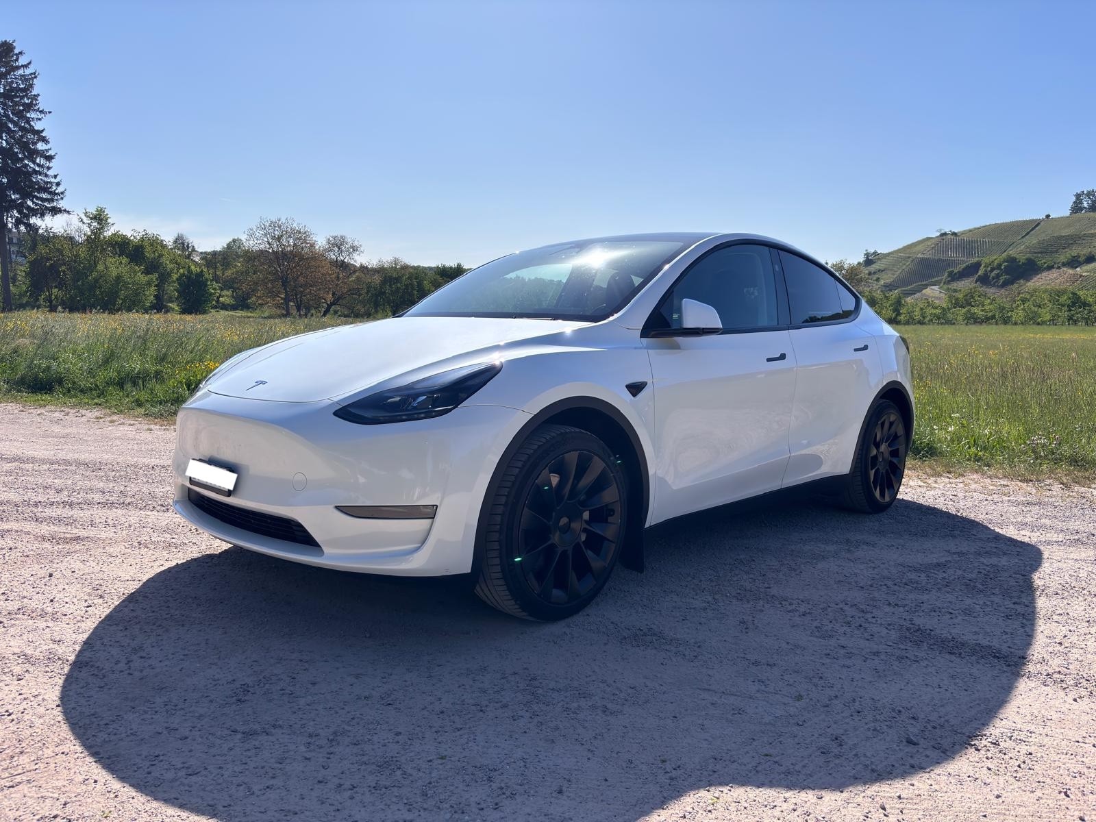 TESLA Y Long Range D-image-3