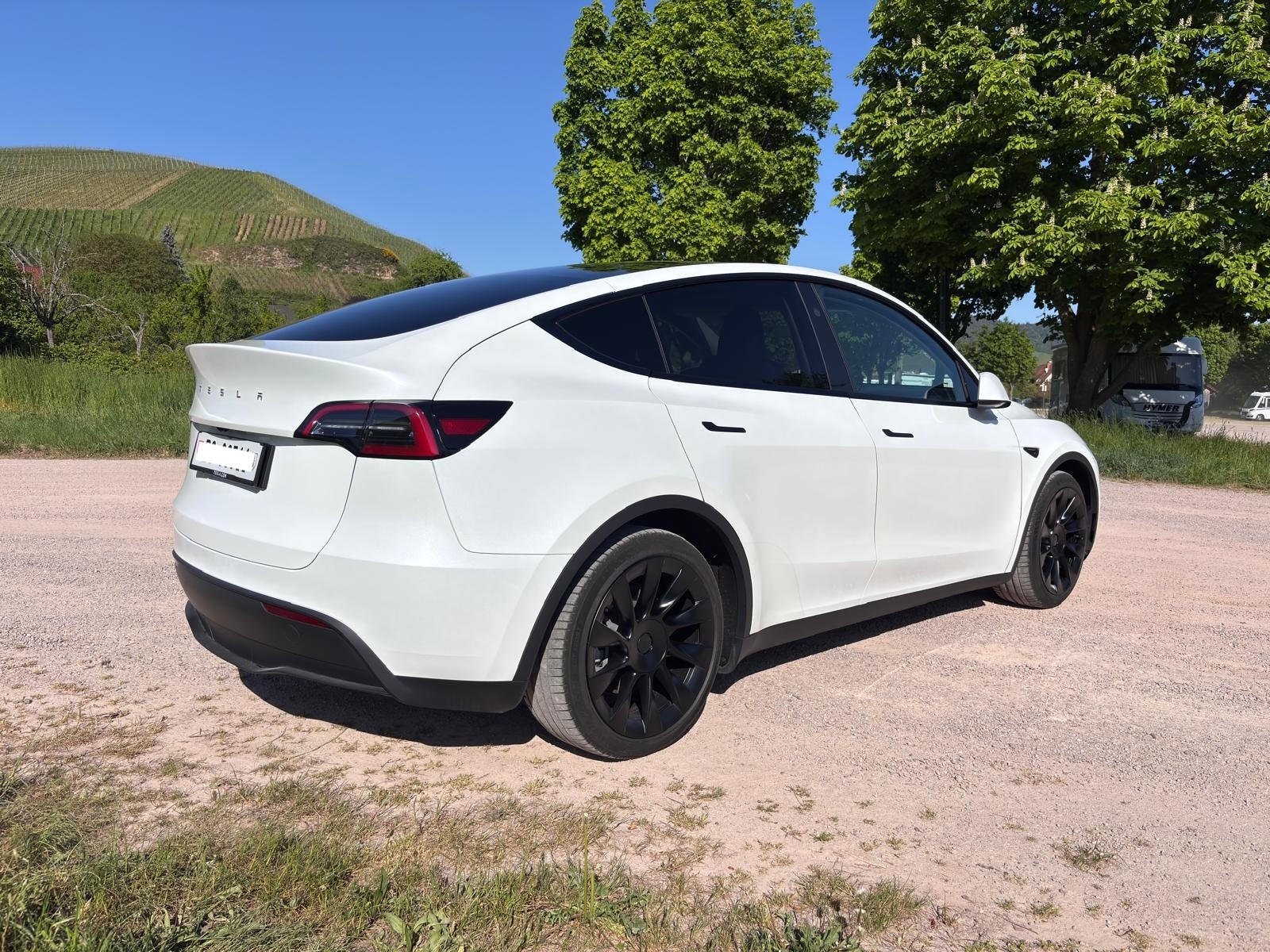 TESLA Y Long Range D-image-1