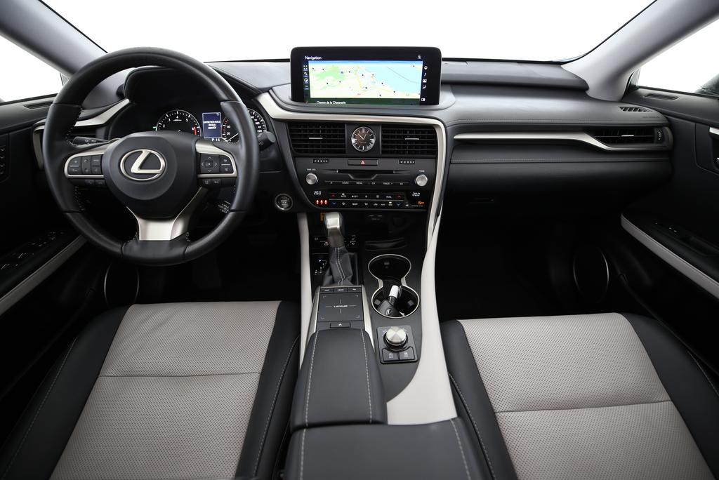 LEXUS RX 300 Special Edition-image-4