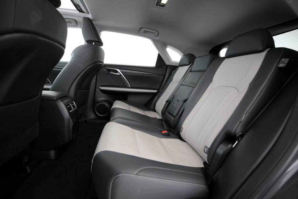 LEXUS RX 300 Special Edition-image-5