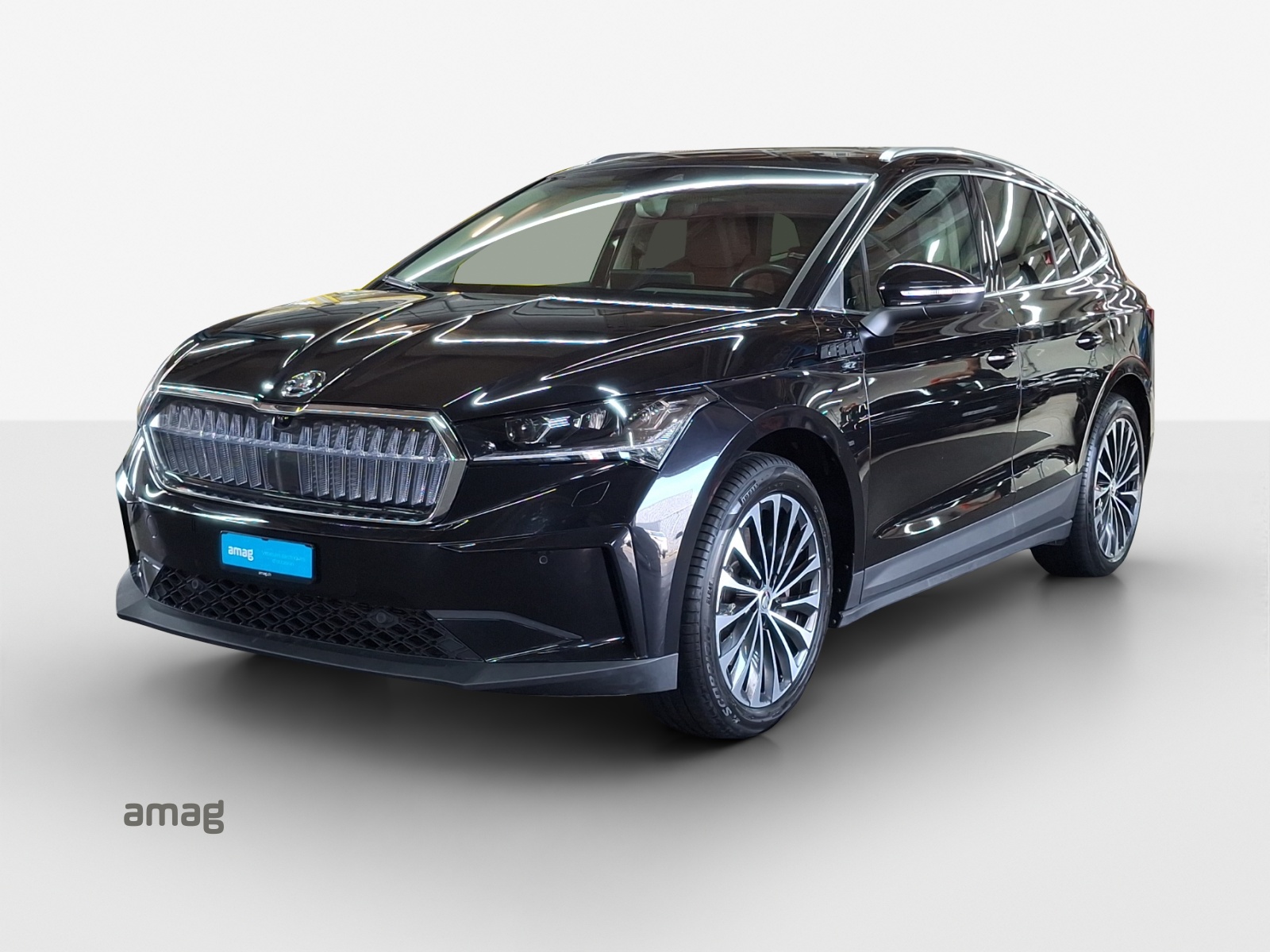 SKODA Enyaq iV 80x-image-0