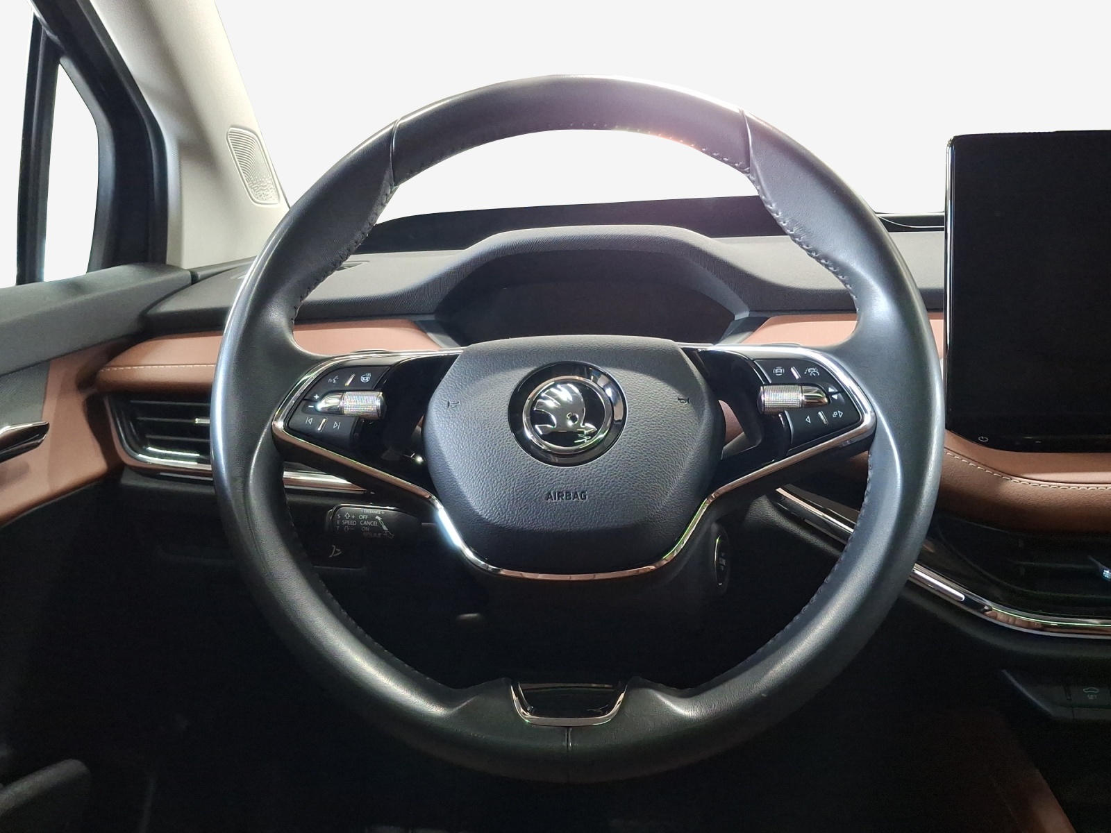 SKODA Enyaq iV 80x-image-9