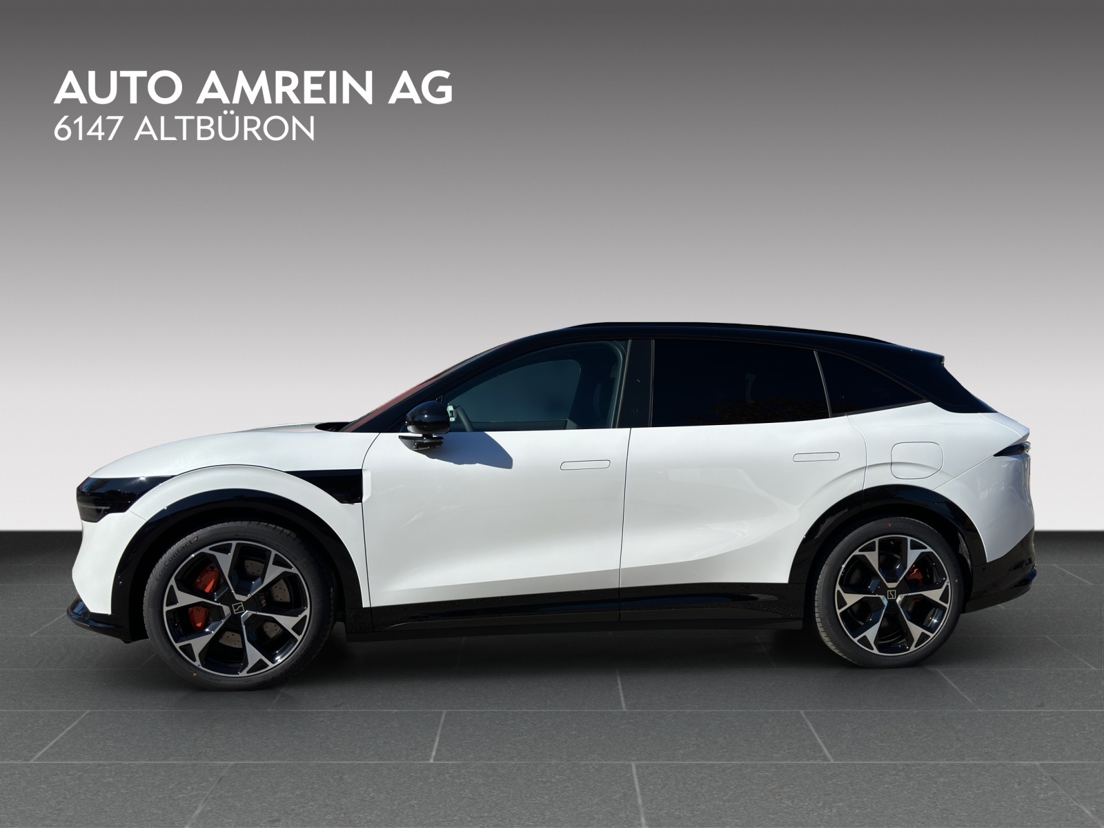 ZEEKR 7X Privilege AWD-image-4