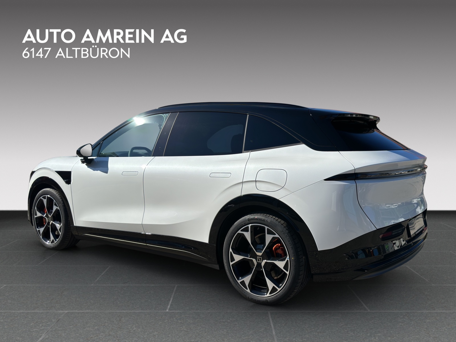 ZEEKR 7X Privilege AWD-image-5