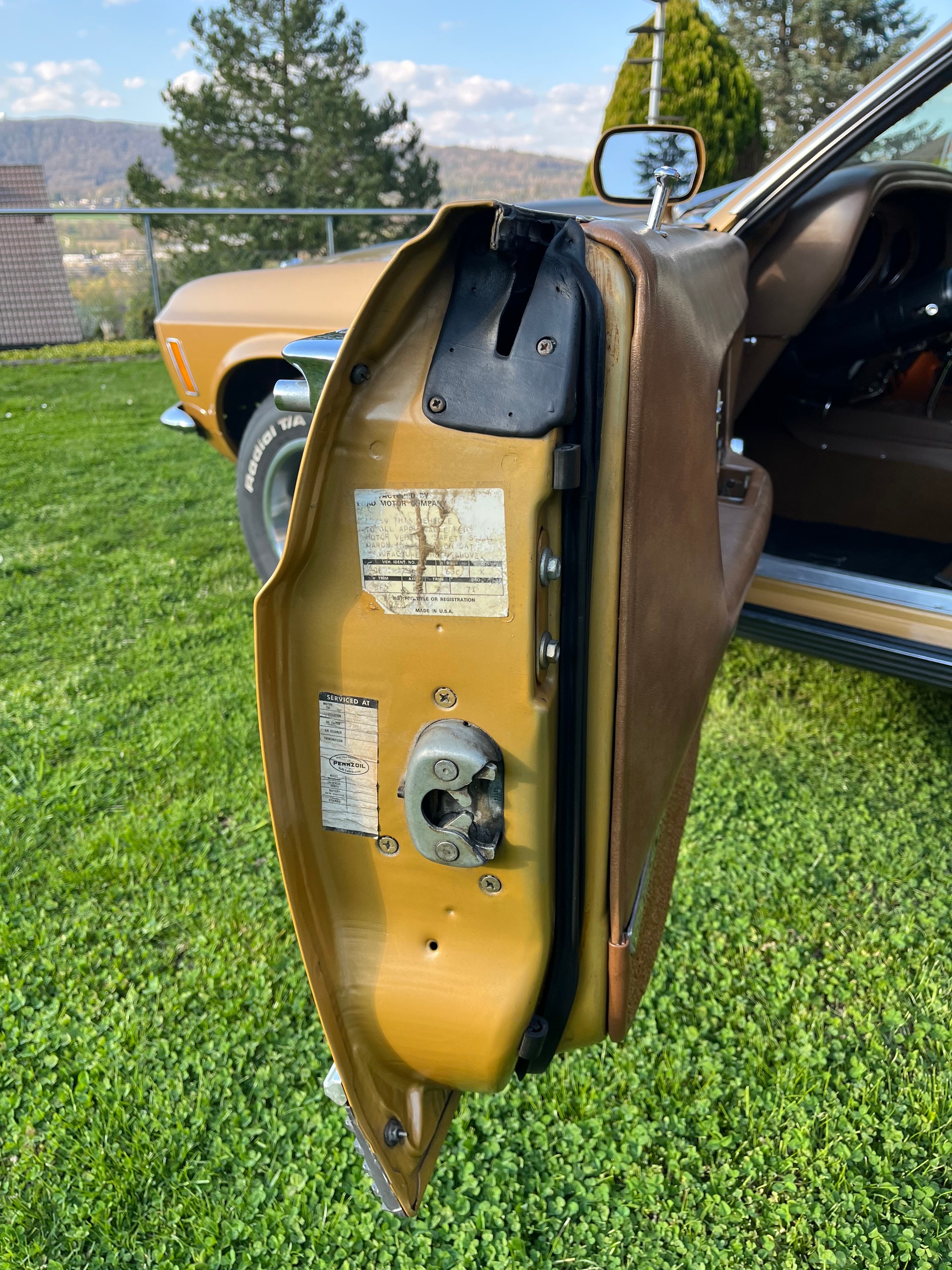 FORD Mach 1 351 Clevland-image-12