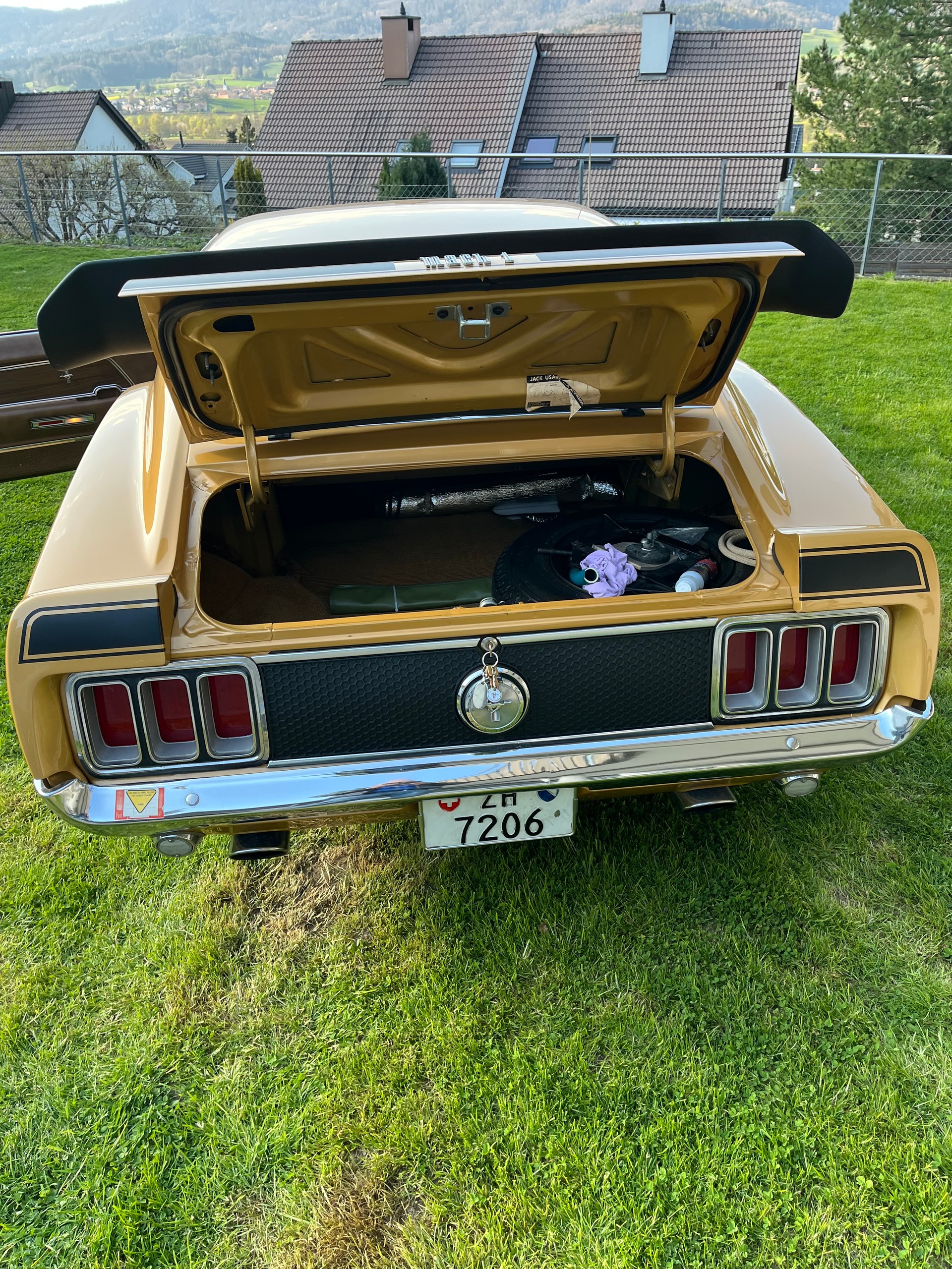 FORD Mach 1 351 Clevland-image-11