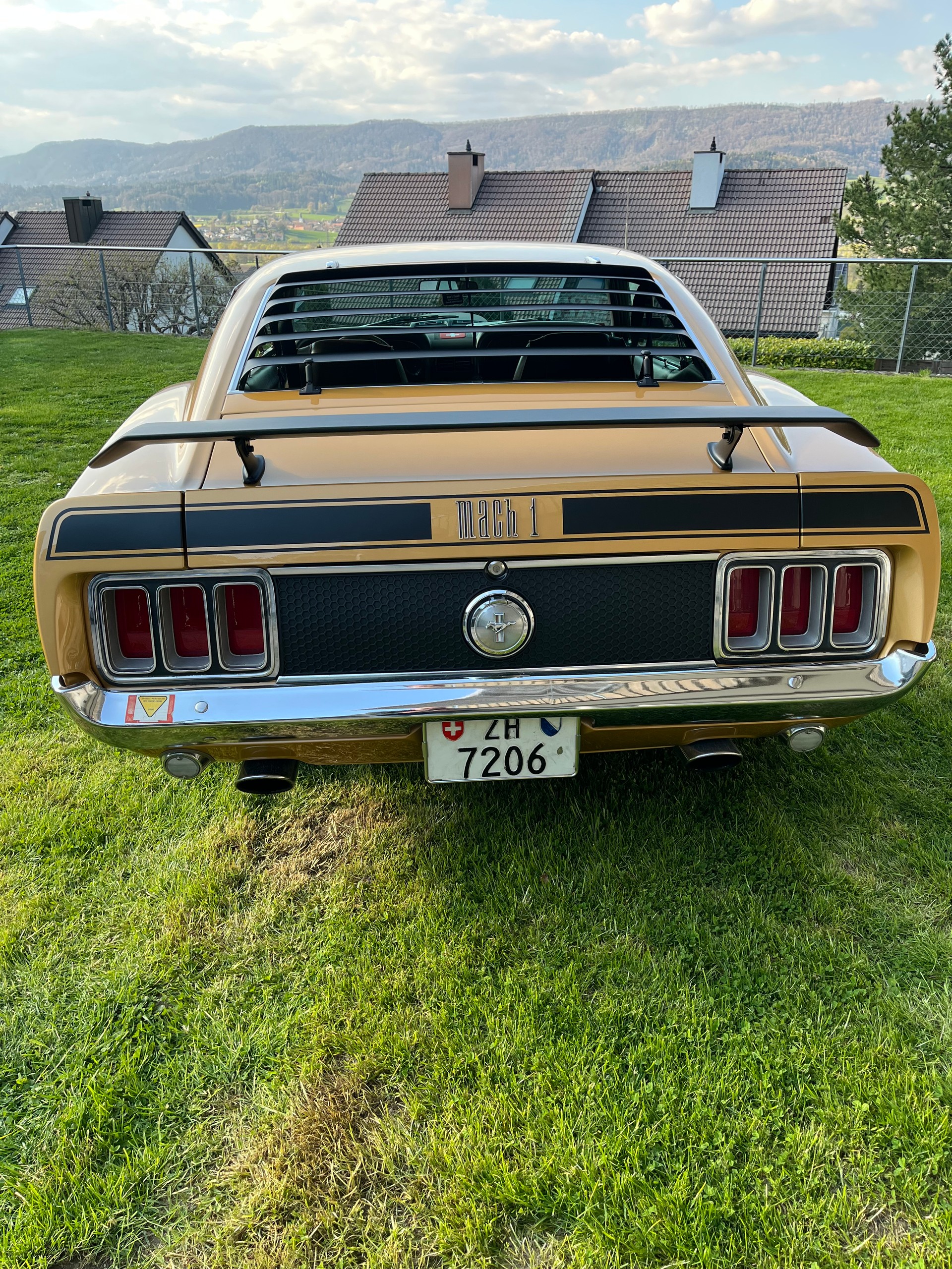 FORD Mach 1 351 Clevland-image-2