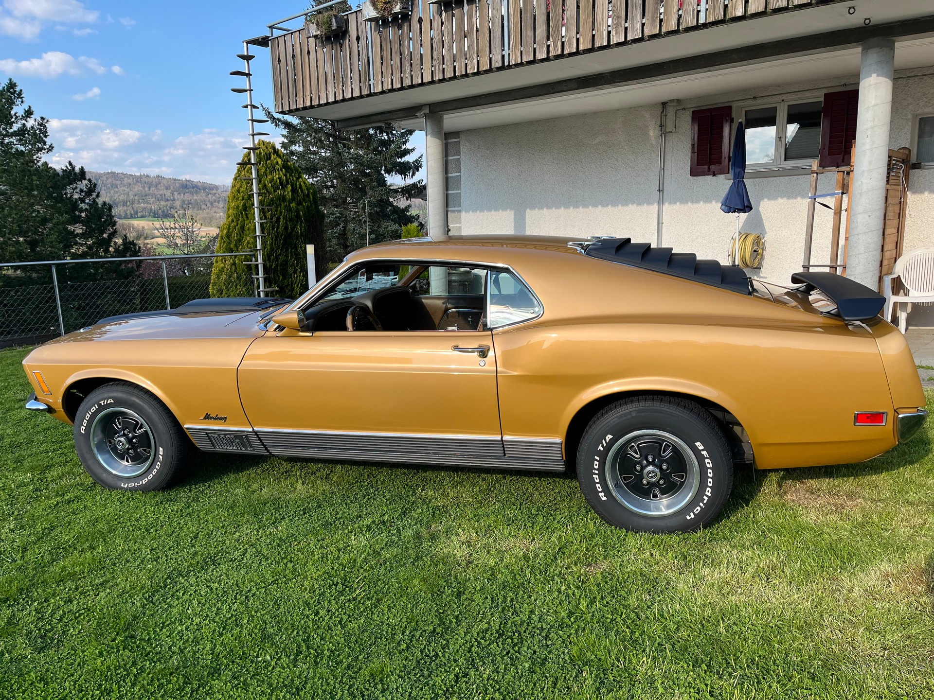 FORD Mach 1 351 Clevland-image-1