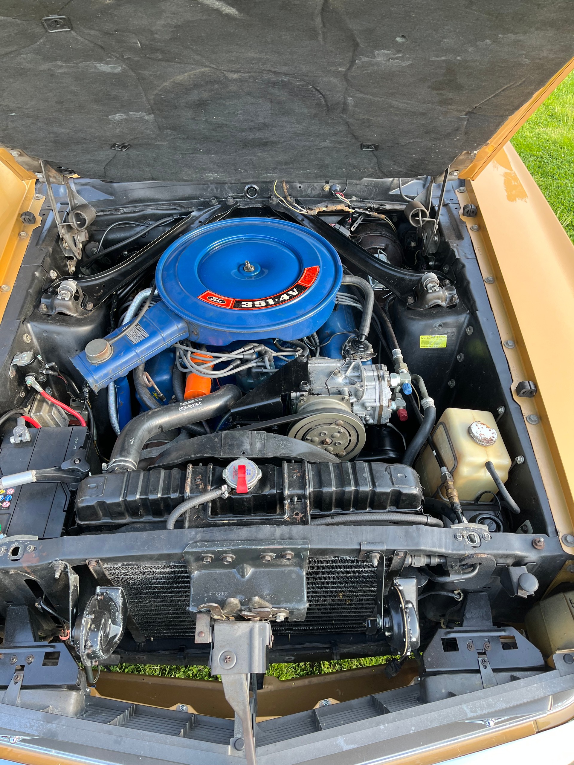 FORD Mach 1 351 Clevland-image-4