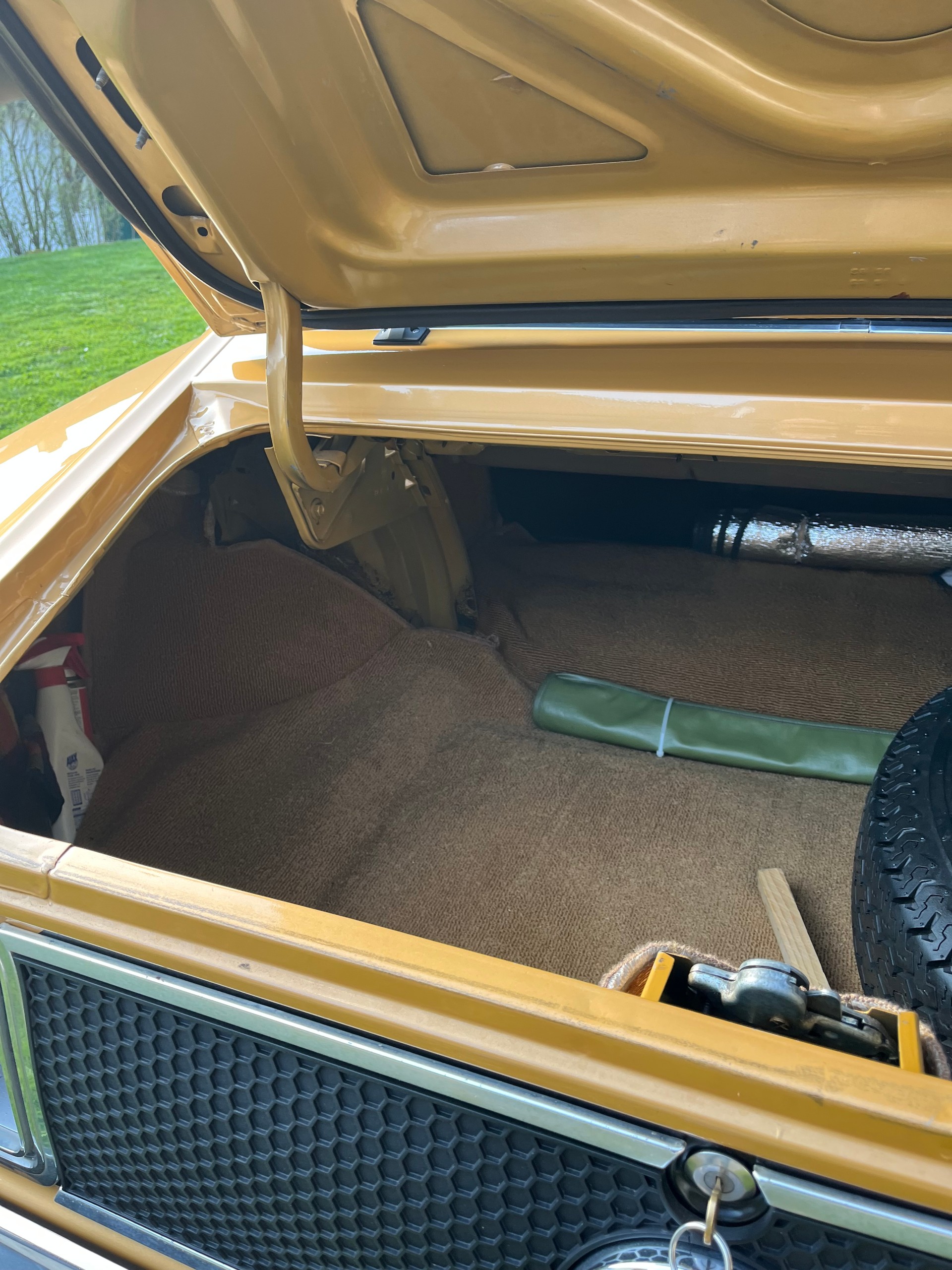 FORD Mach 1 351 Clevland-image-10