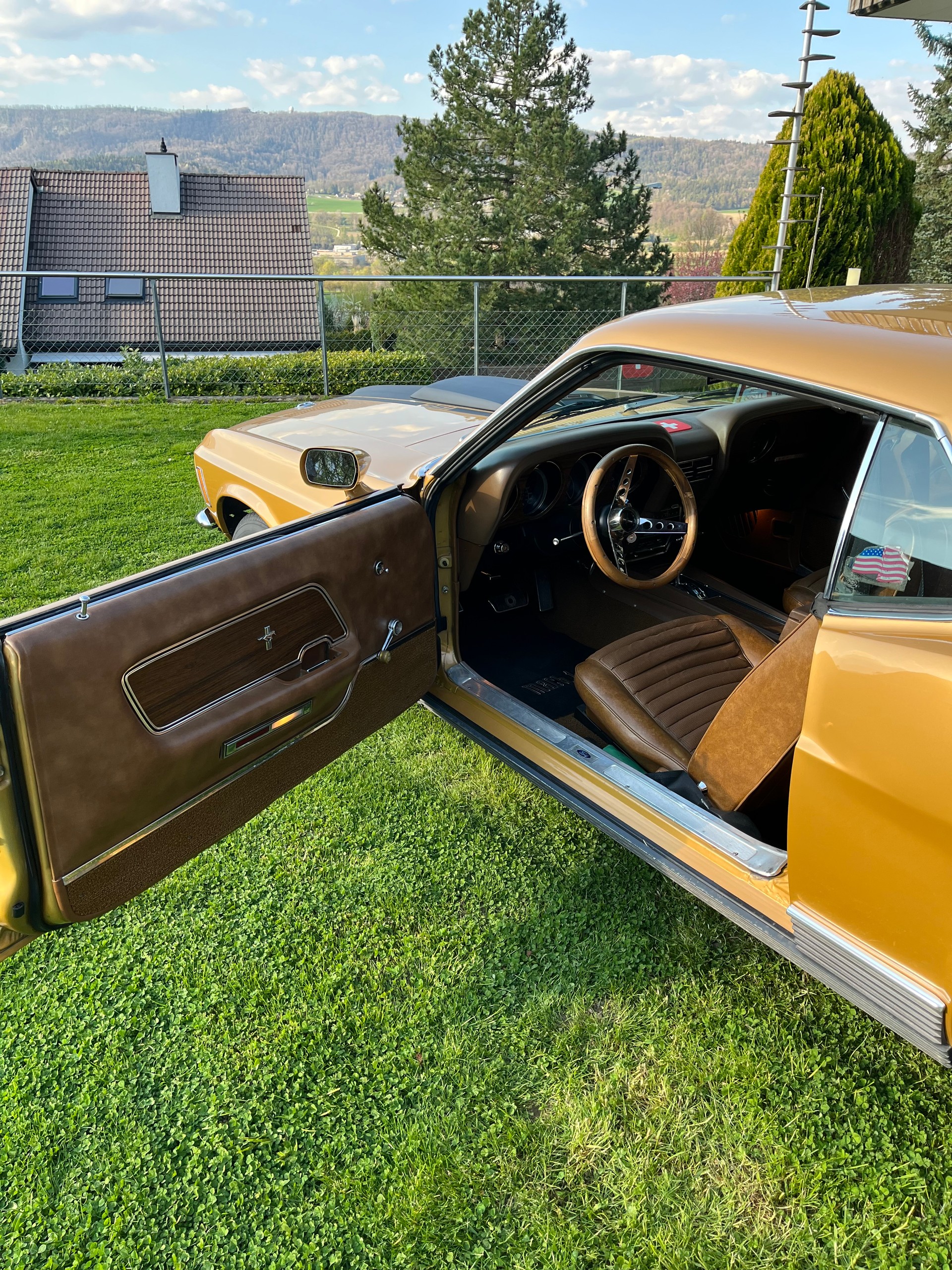 FORD Mach 1 351 Clevland-image-13