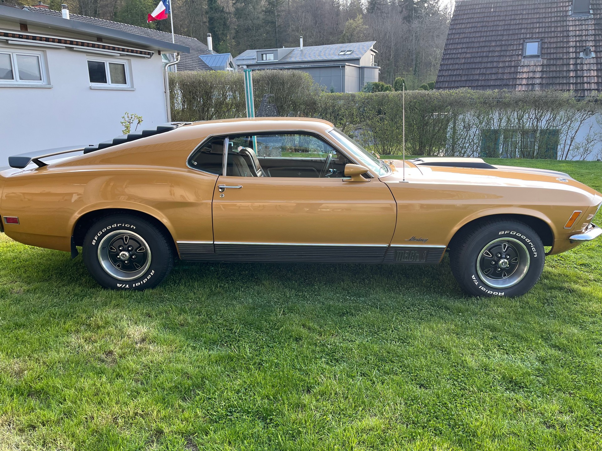 FORD Mach 1 351 Clevland-image-3