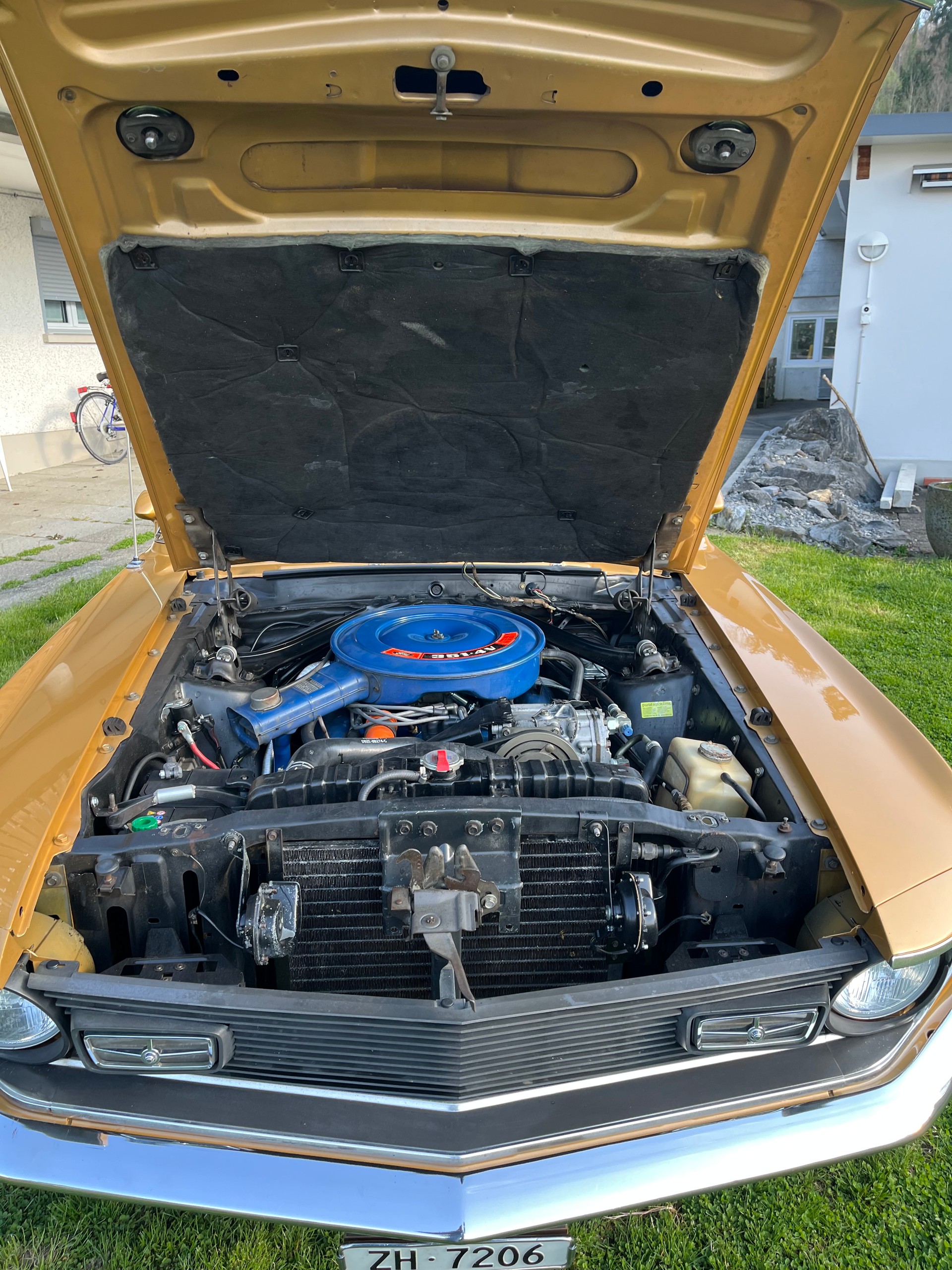 FORD Mach 1 351 Clevland-image-5