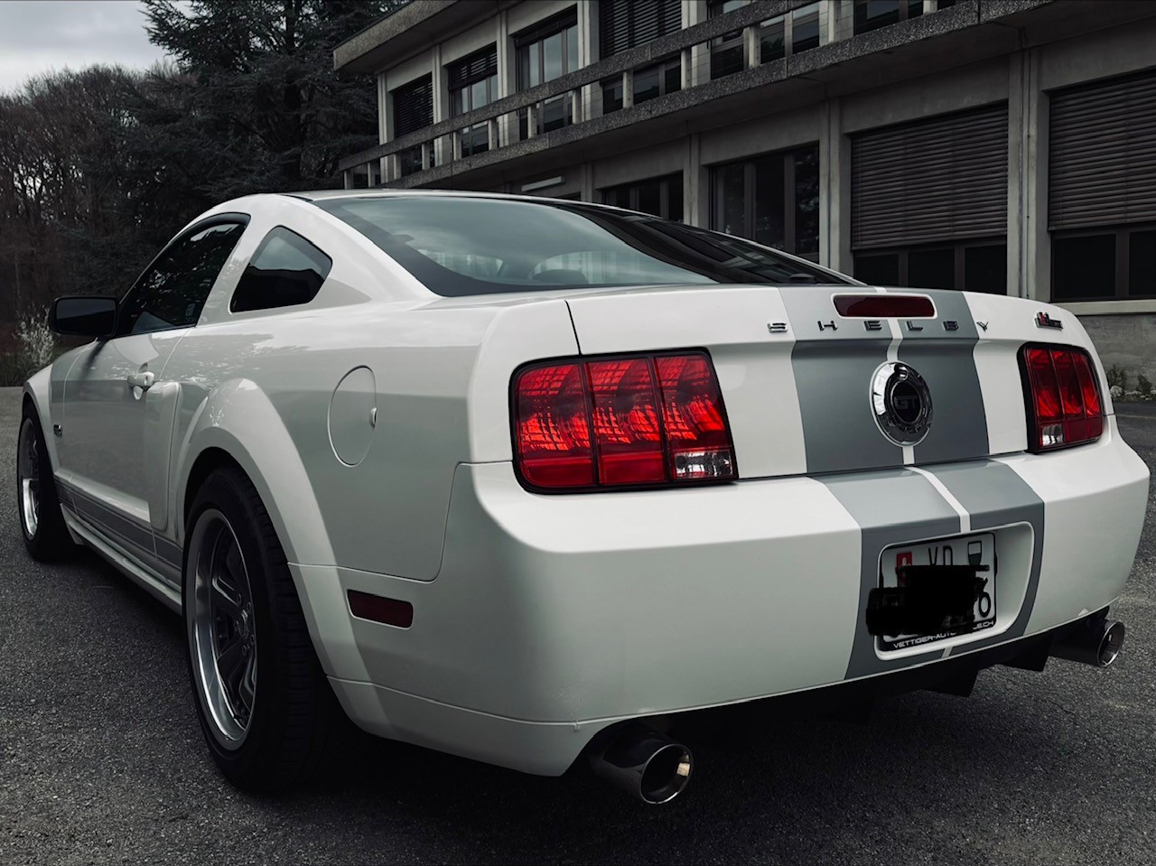FORD Shelby GT-image-2