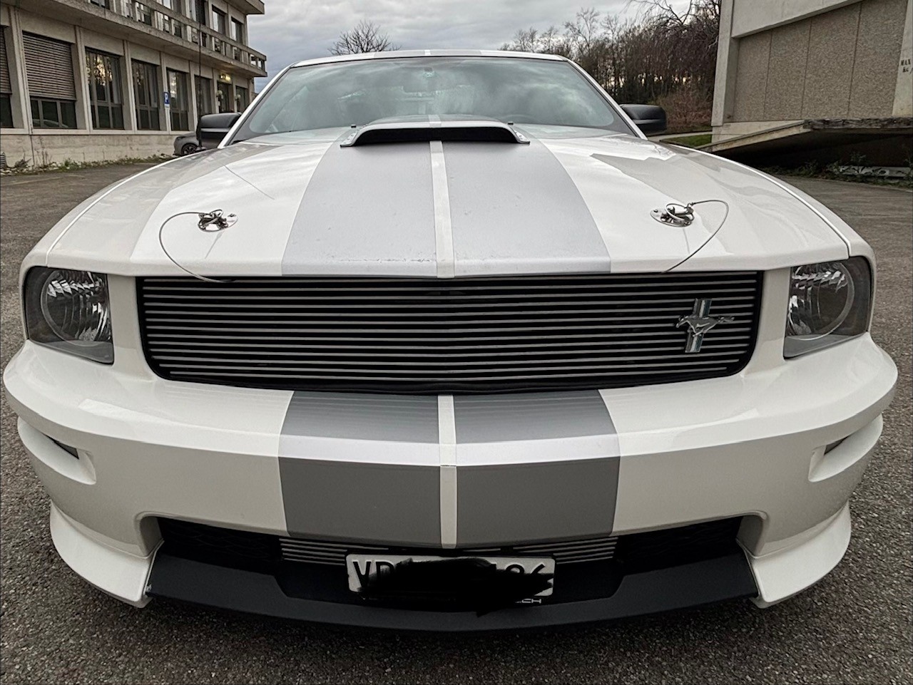 FORD Shelby GT-image-6