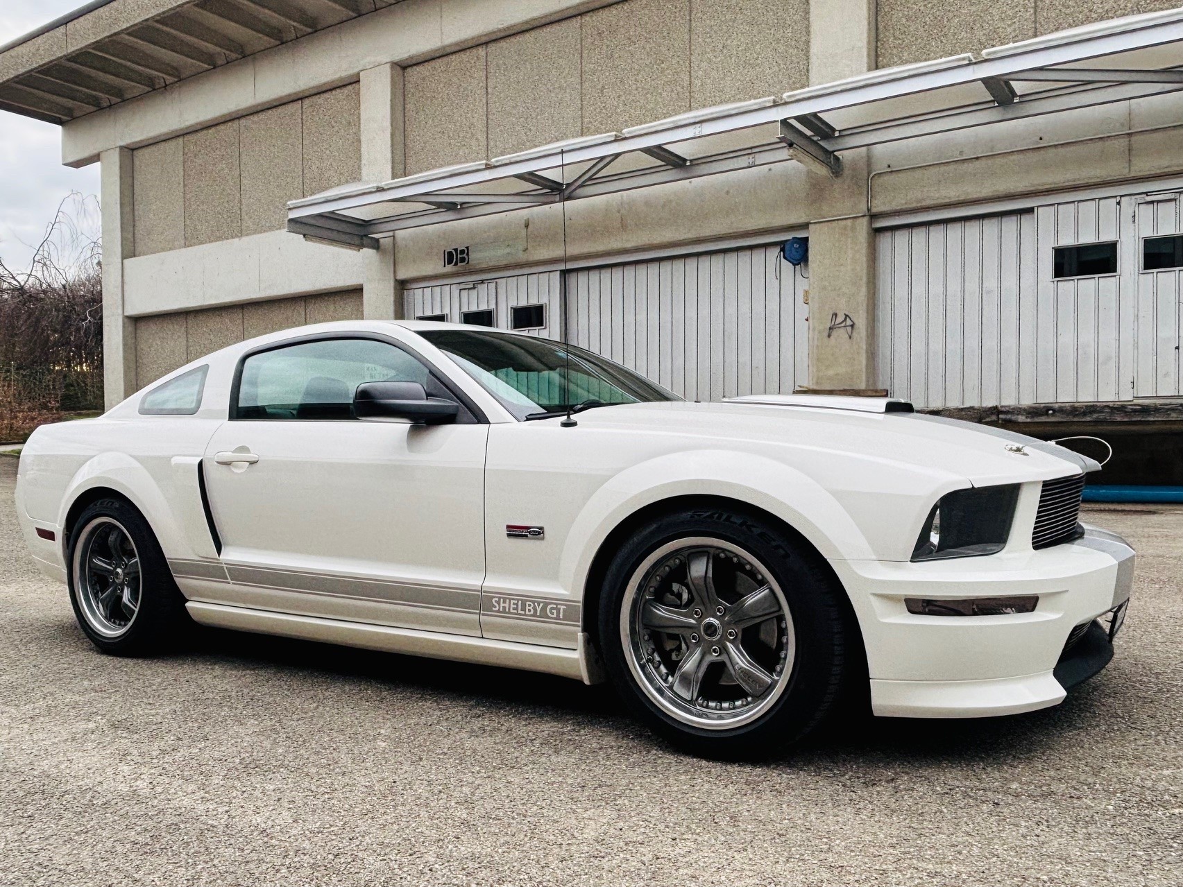 FORD Shelby GT-image-0