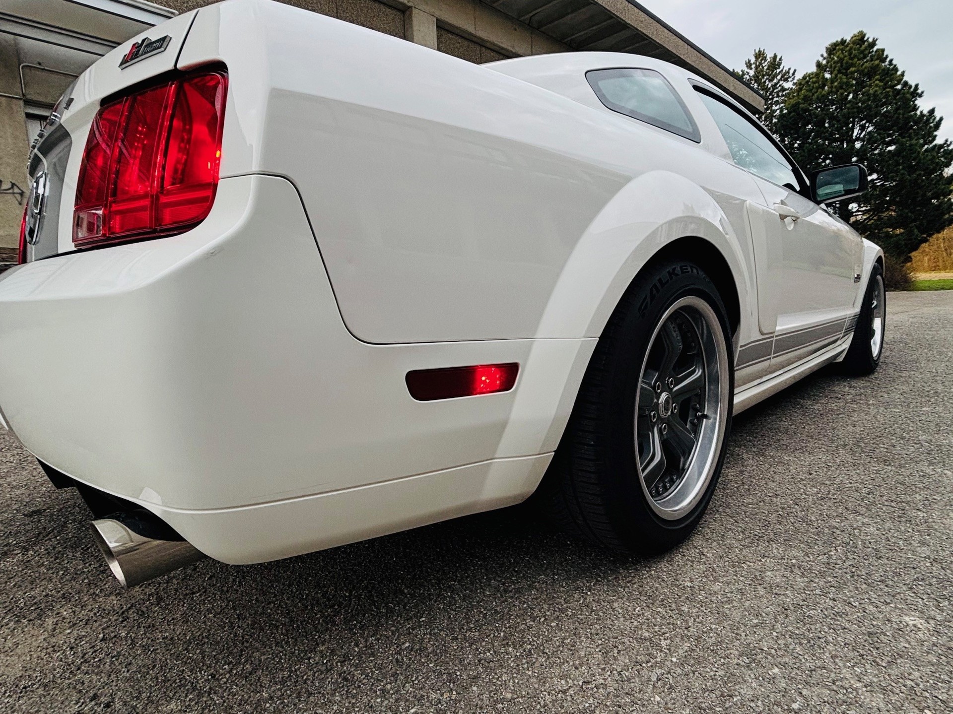 FORD Shelby GT-image-9