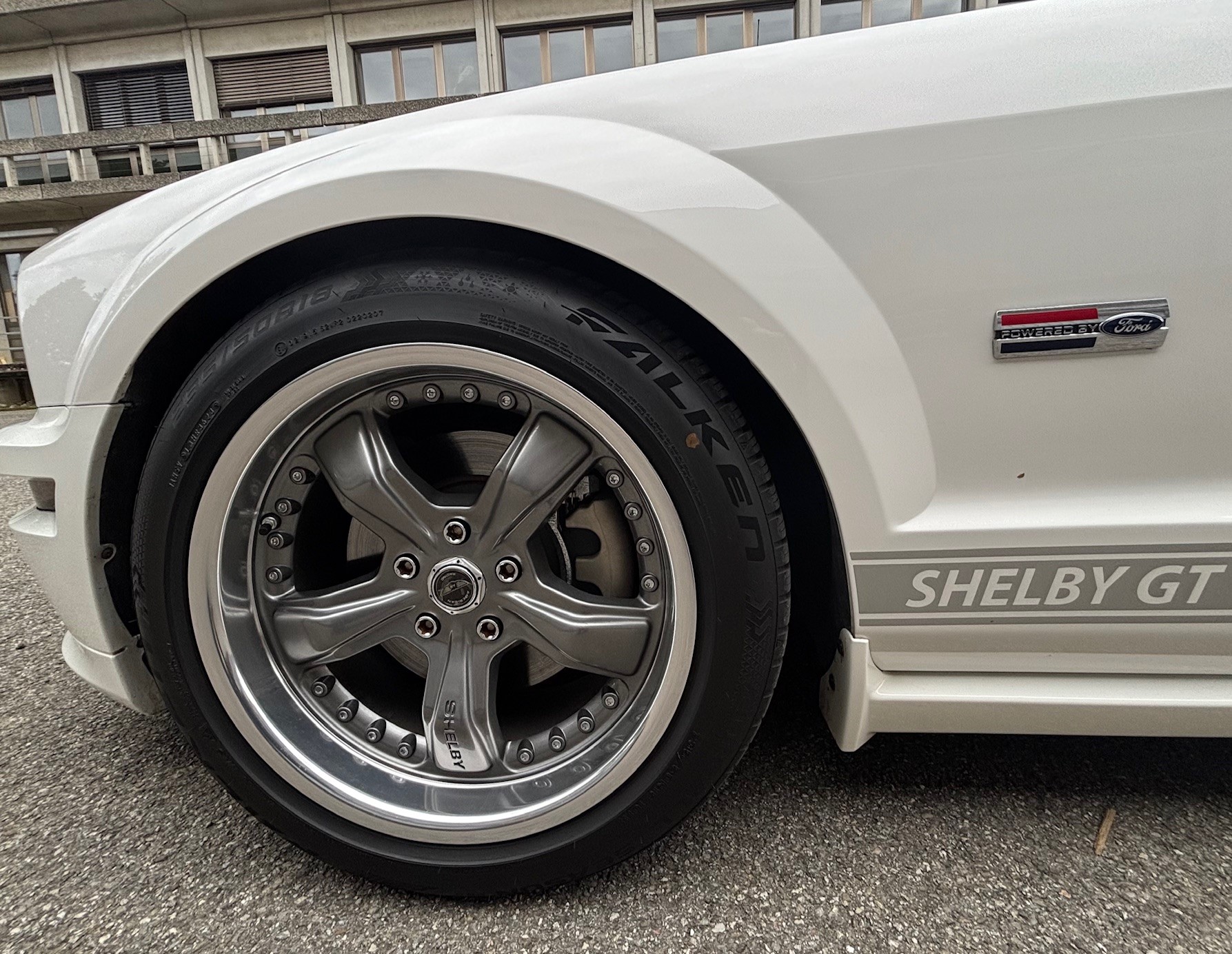 FORD Shelby GT-image-7