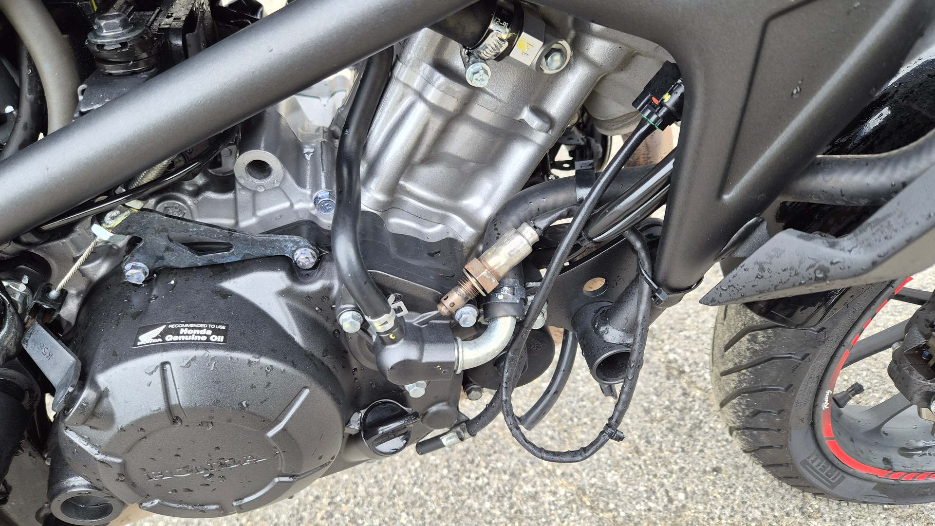 HONDA CB 125 R-image-3