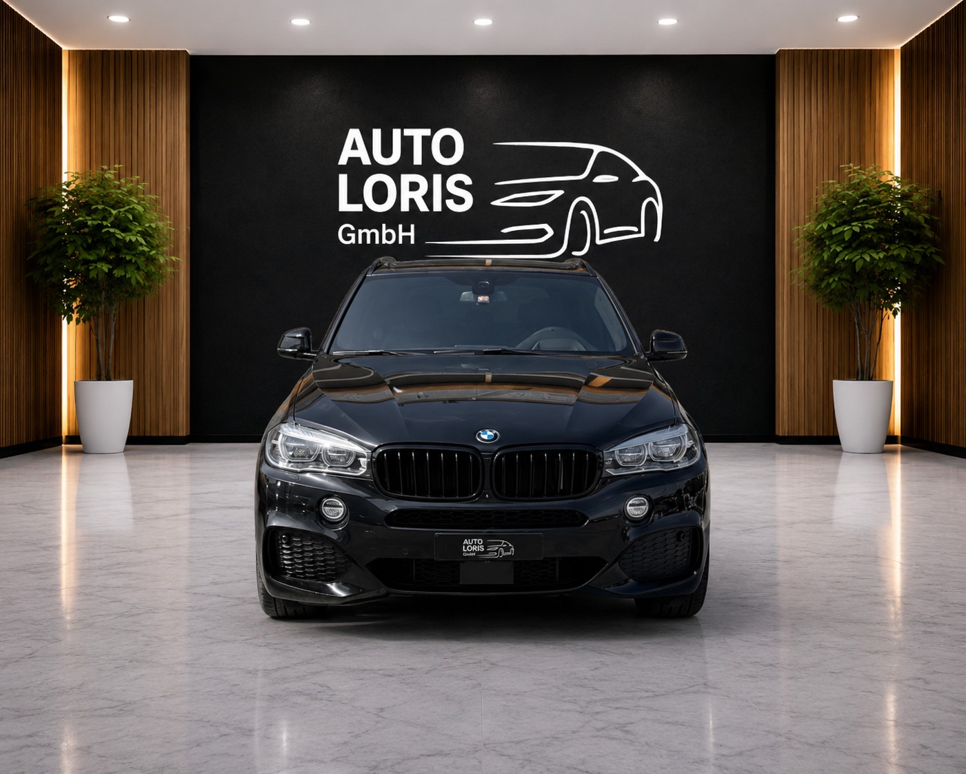 BMW X5 xDrive 30d Steptronic-image-0