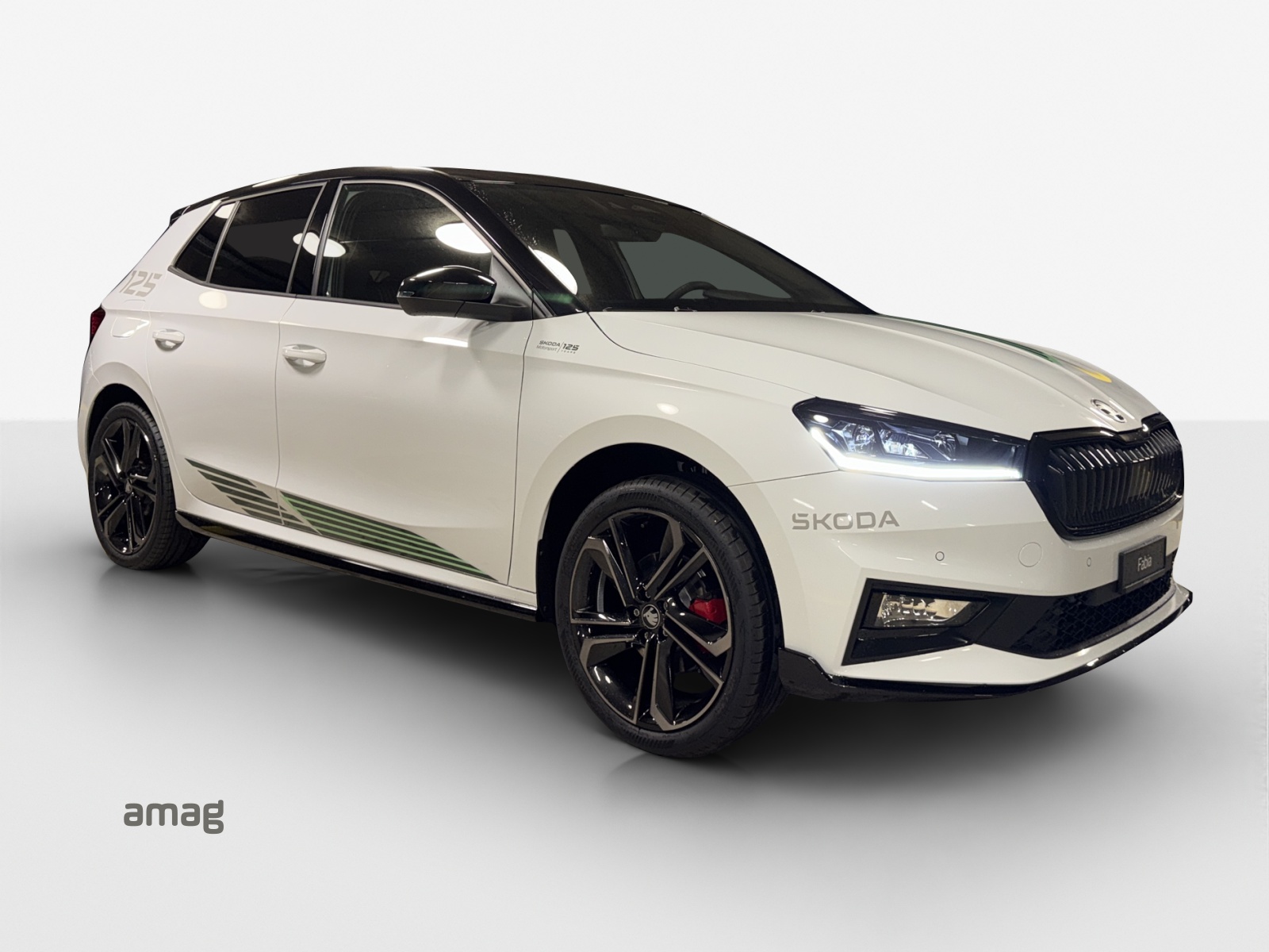 SKODA Fabia Motorsport Edition-image-5