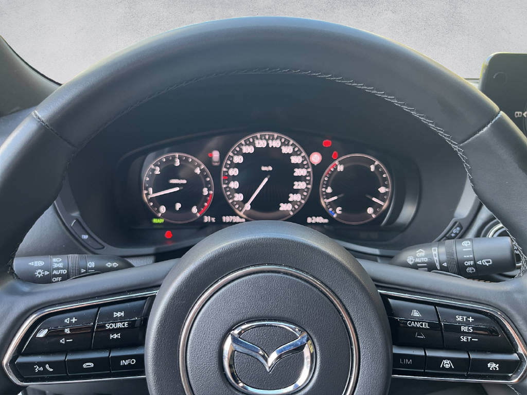 MAZDA CX-80 3.3 D Homura Plus-image-9