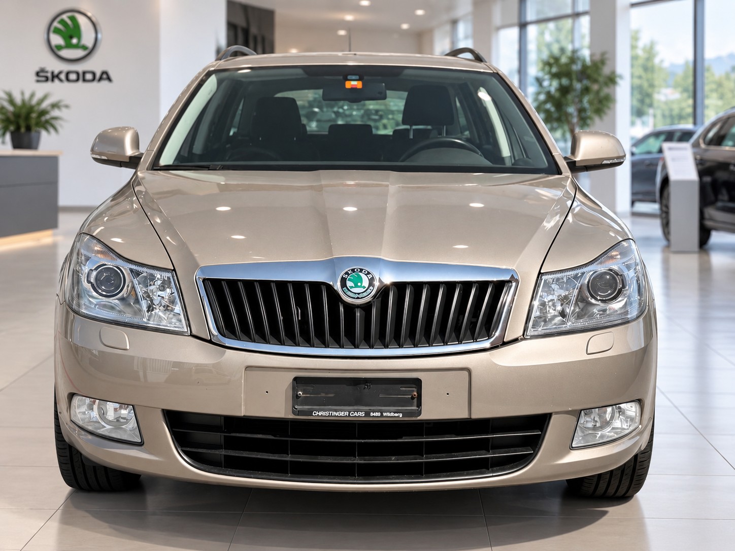 SKODA Octavia Combi 1.8 TSI Swiss Adventure 4x4-image-0