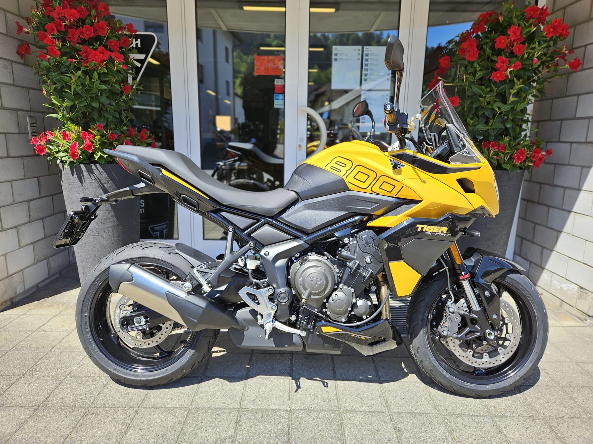 TRIUMPH Tiger Sport 800-showroom-element-1