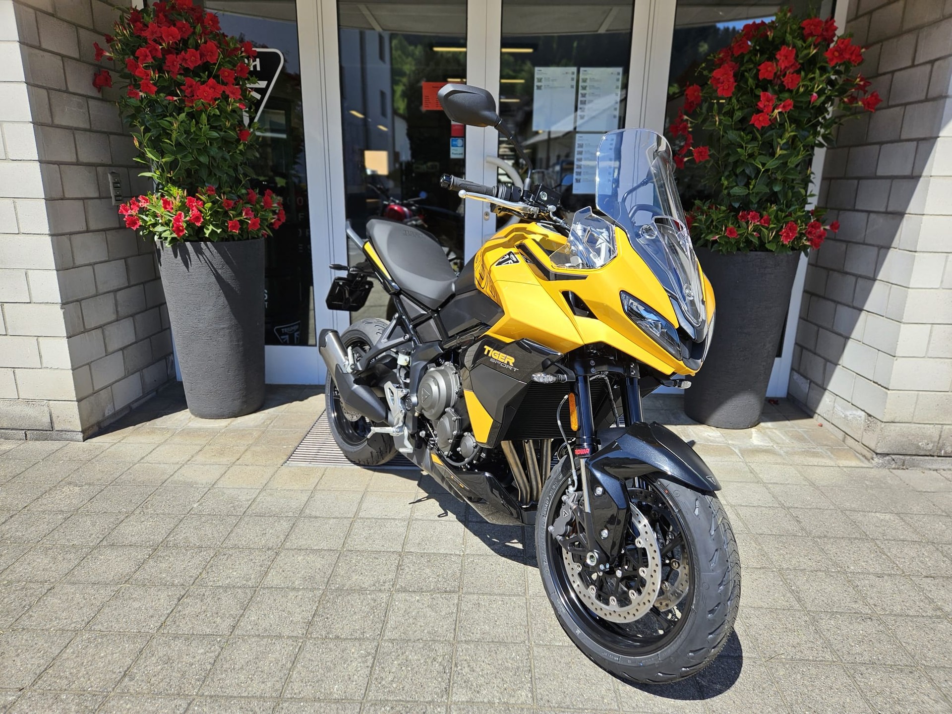 TRIUMPH Tiger Sport 800-showroom-element-2