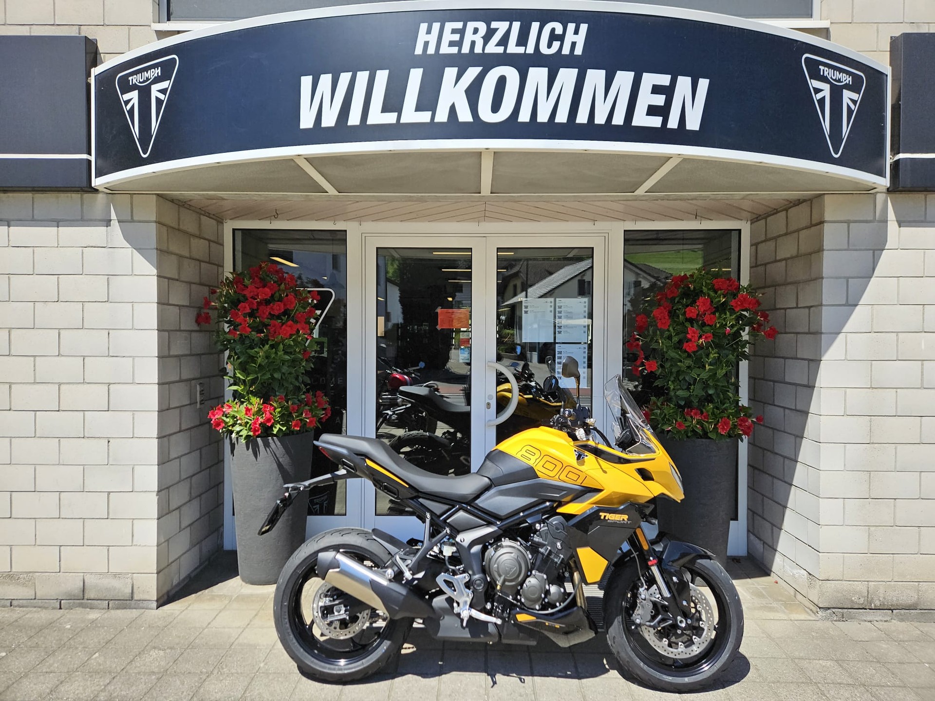 TRIUMPH Tiger Sport 800