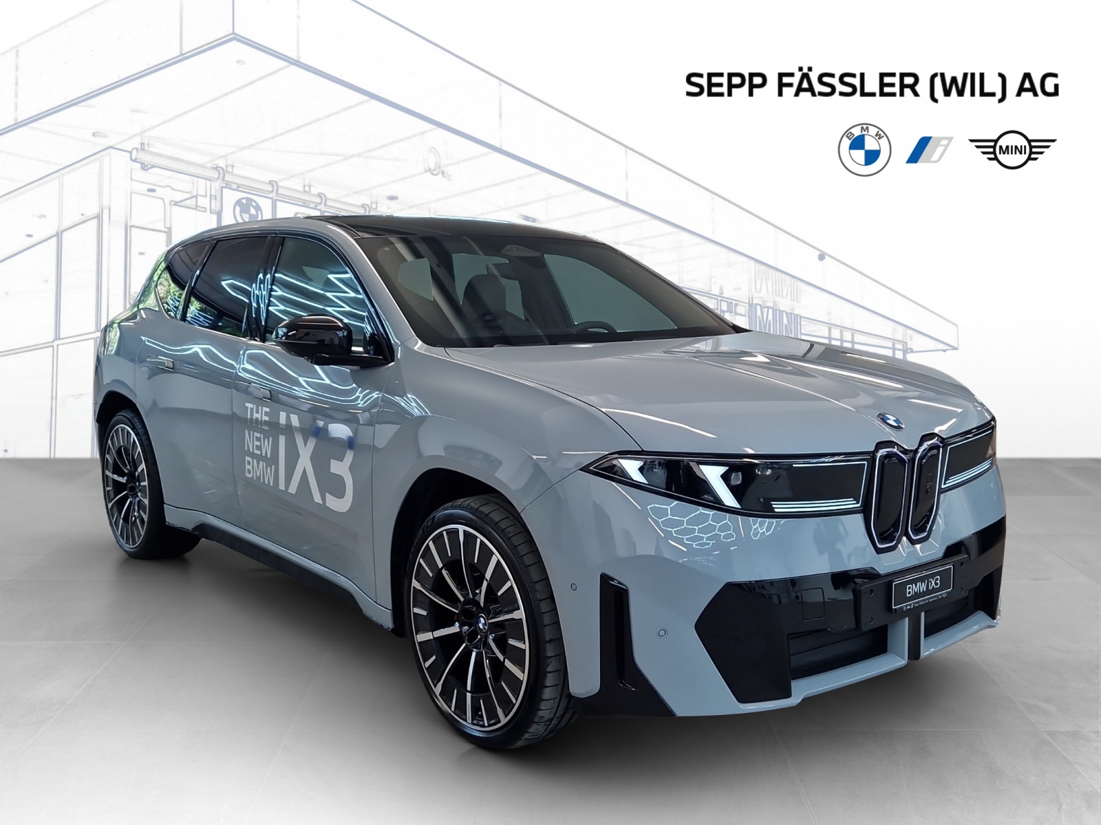 BMW iX3 50 xDrive M Sport Pro-image-9
