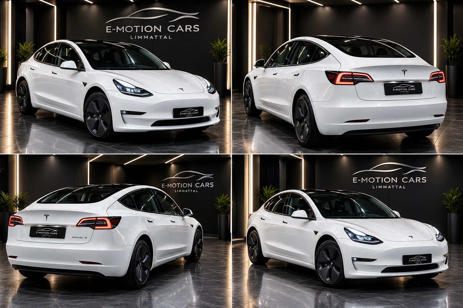 TESLA Model 3-image-0