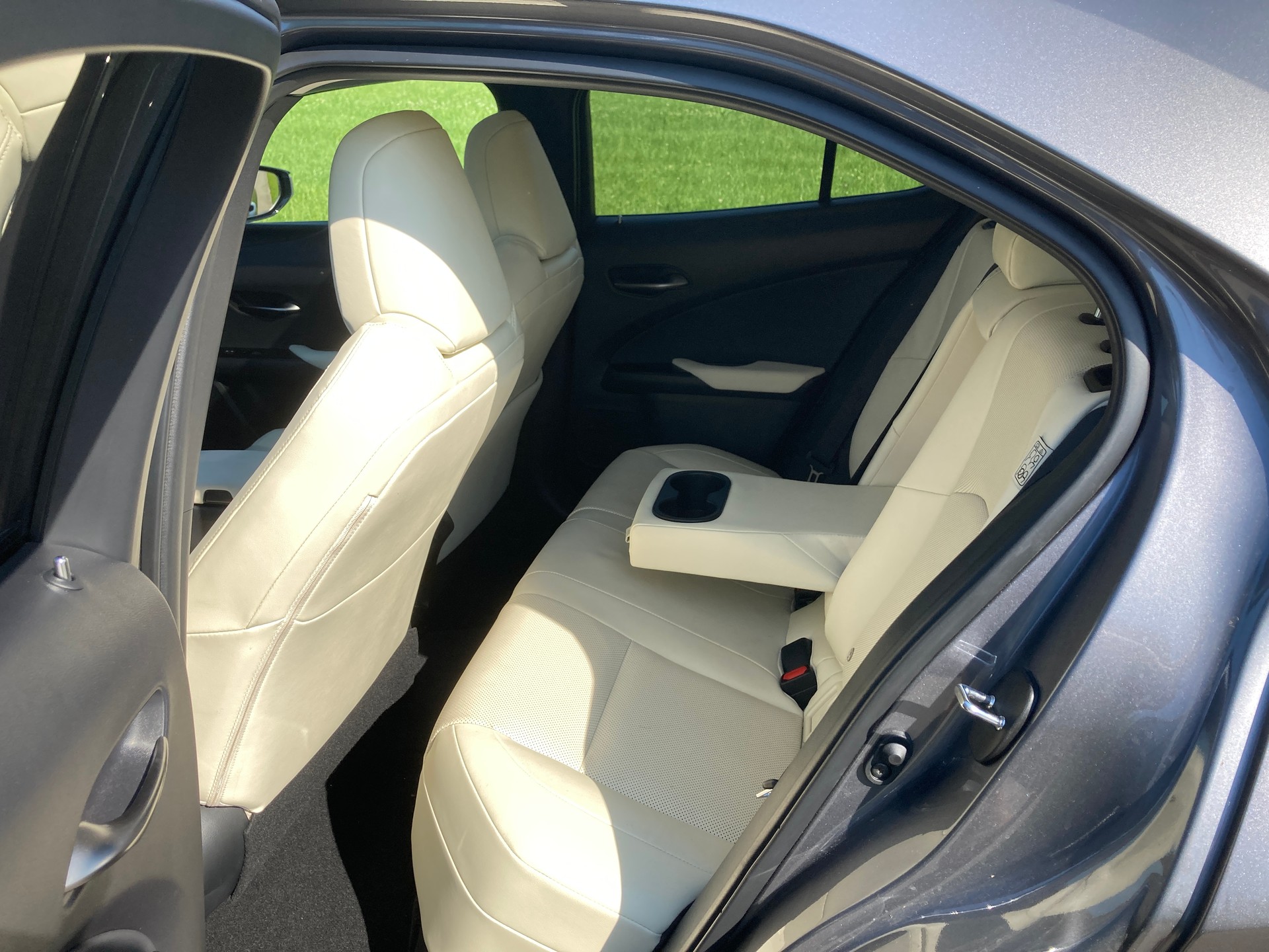LEXUS UX 300e Excellence Automatic-image-6