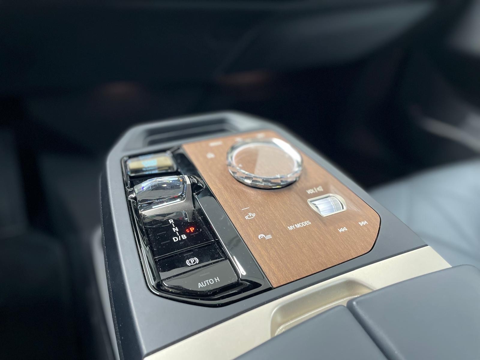 BMW iX xDrive40 Launch Edition-image-9