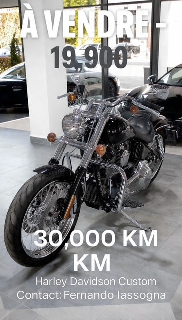 HARLEY-DAVIDSON FXDI35 Dyna Super Glide 35th Anniversary