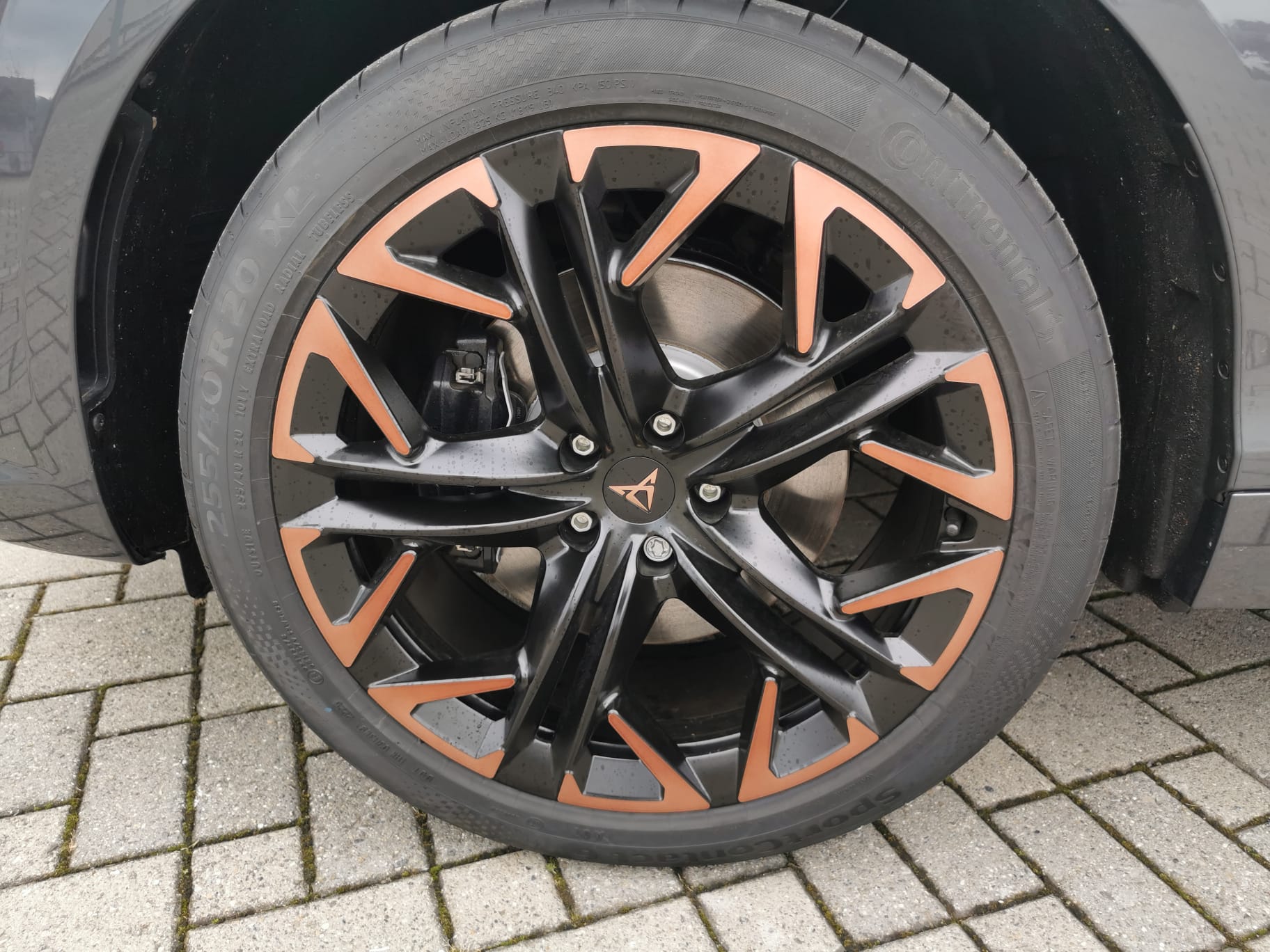 CUPRA Terramar 2.0 TSI VZ 4Drive DSG-image-5