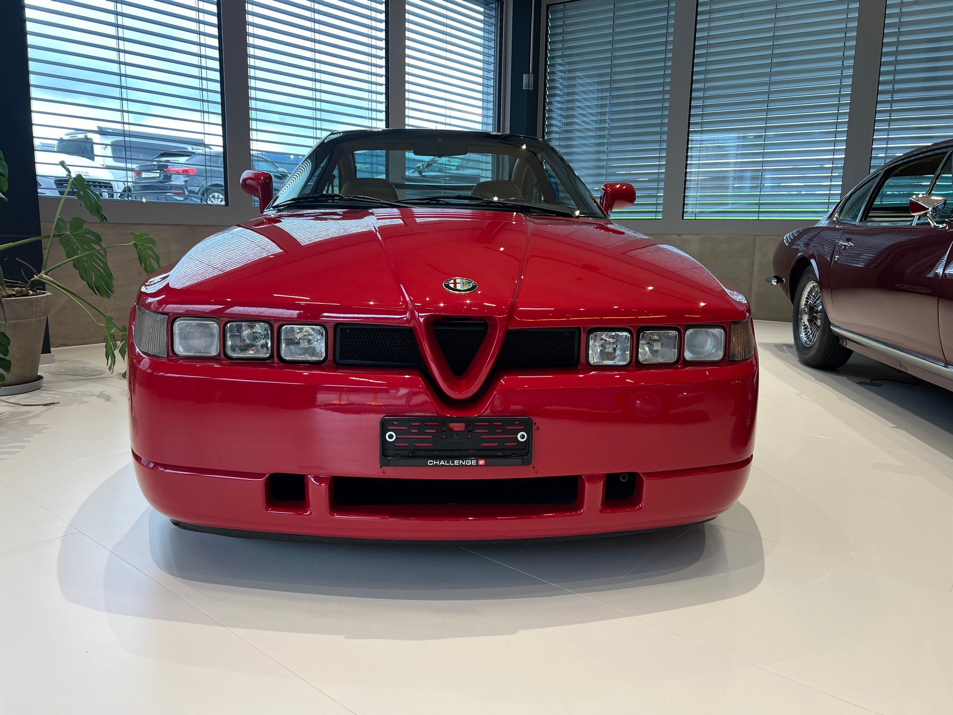 ALFA ROMEO SZ-image-1