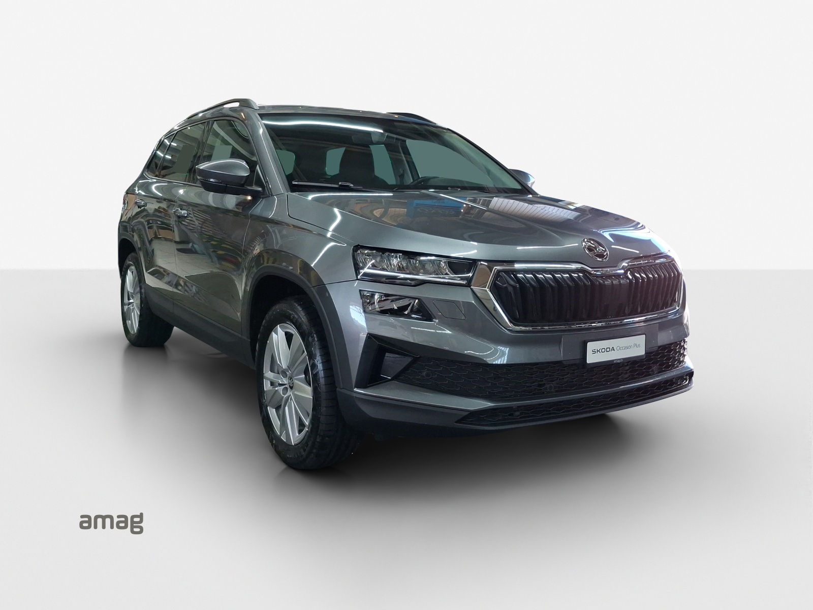 SKODA Karoq 2.0 TDI CR Selection 4x4 DSG-image-5