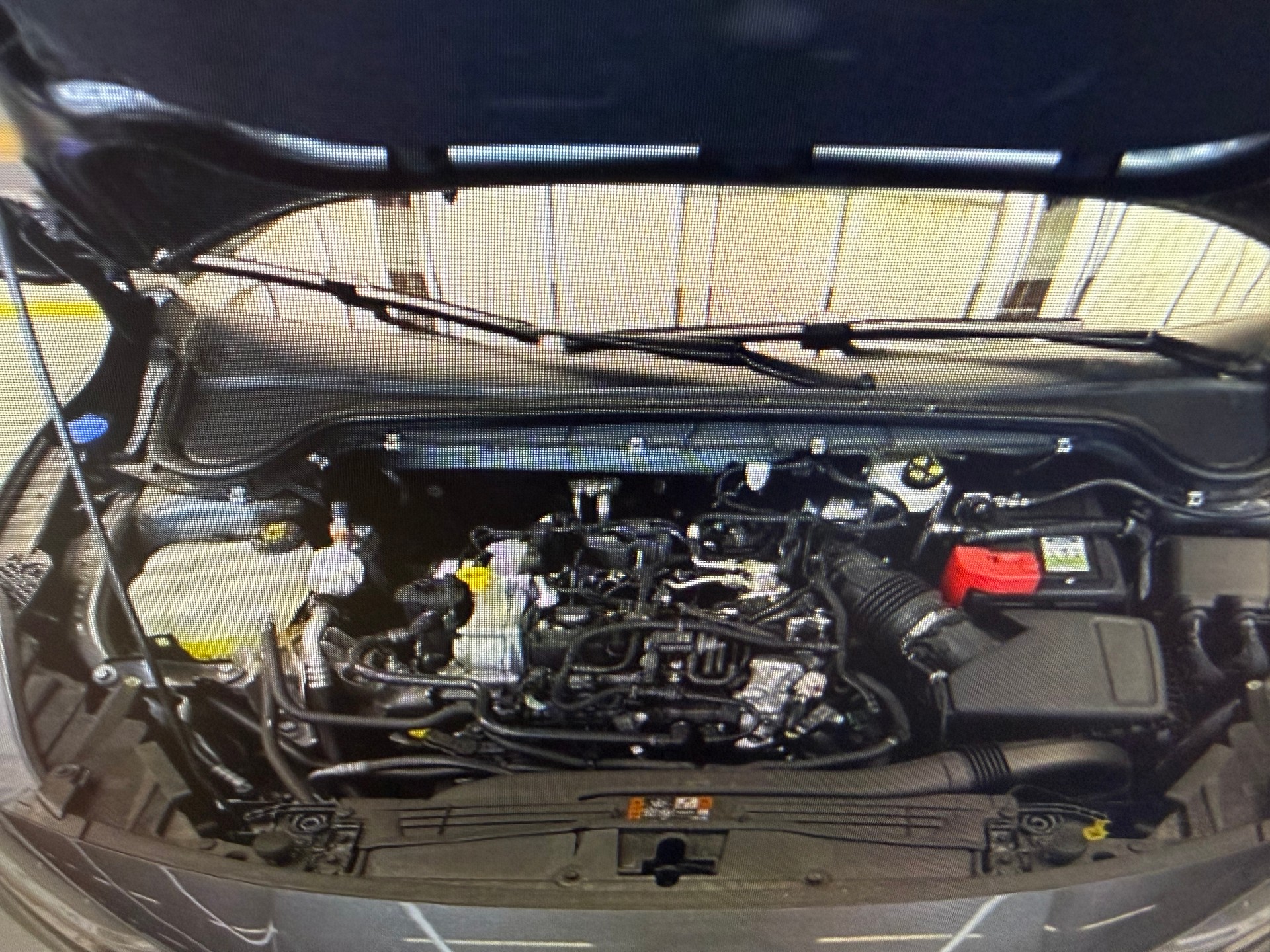 FORD Focus 1.0 MHEV ST-Line X Automat-image-1