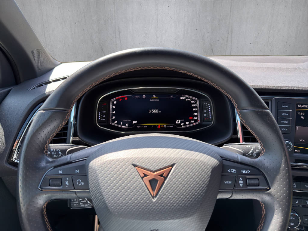 CUPRA Ateca Cupra 2.0 TSI 4Drive DSG-image-11
