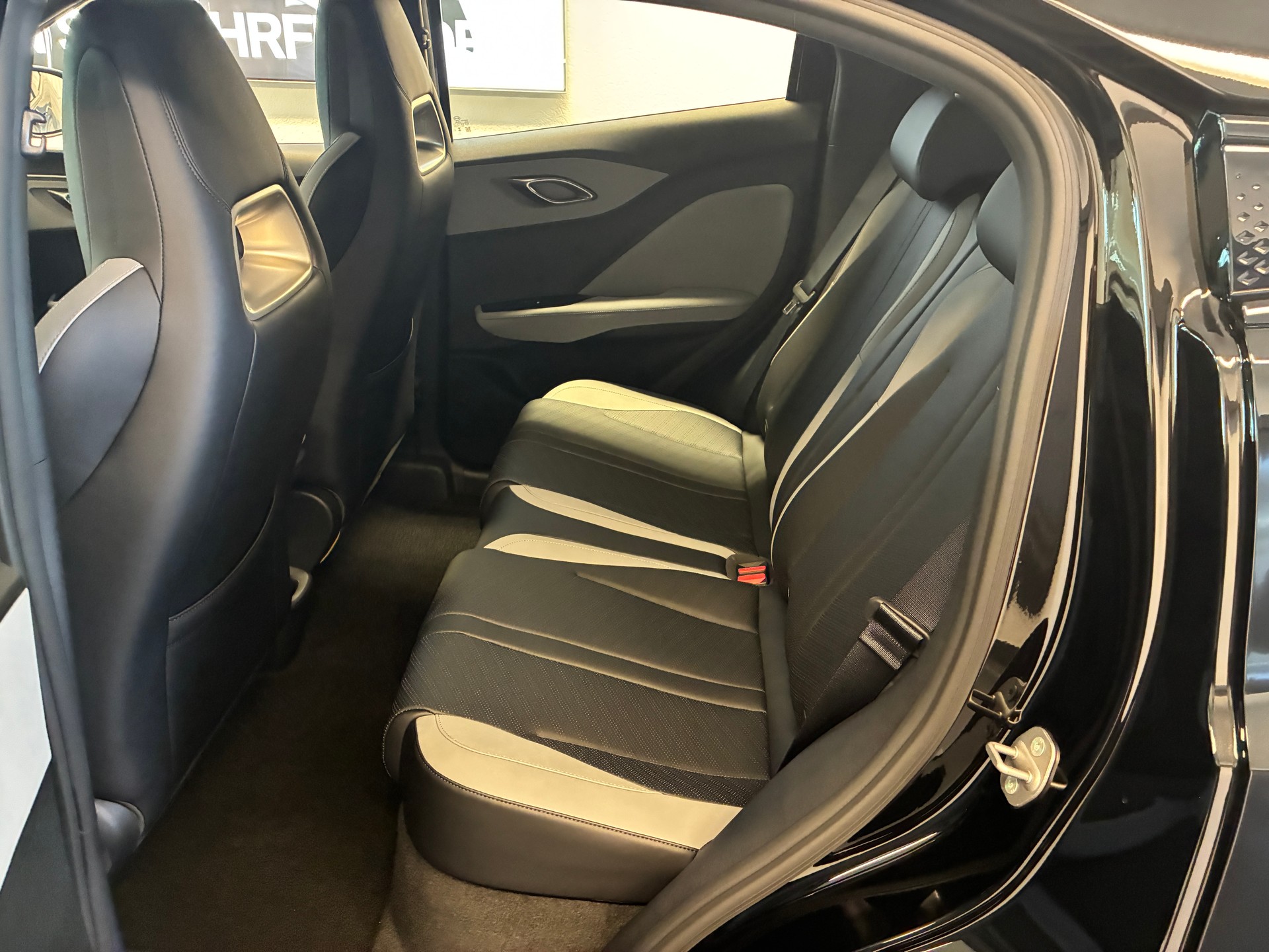 BYD Dolphin Surf Boost-image-15