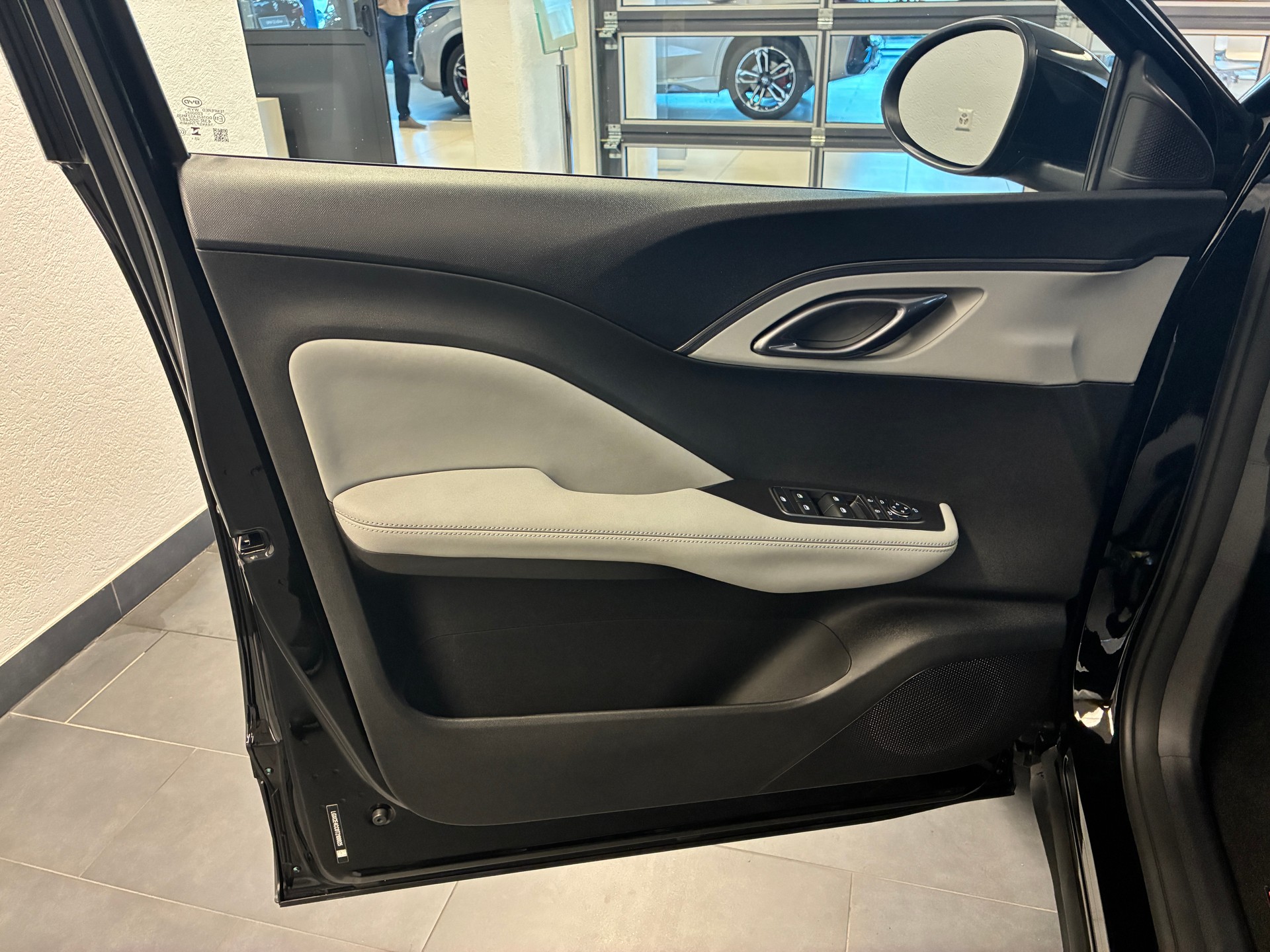BYD Dolphin Surf Boost-image-13
