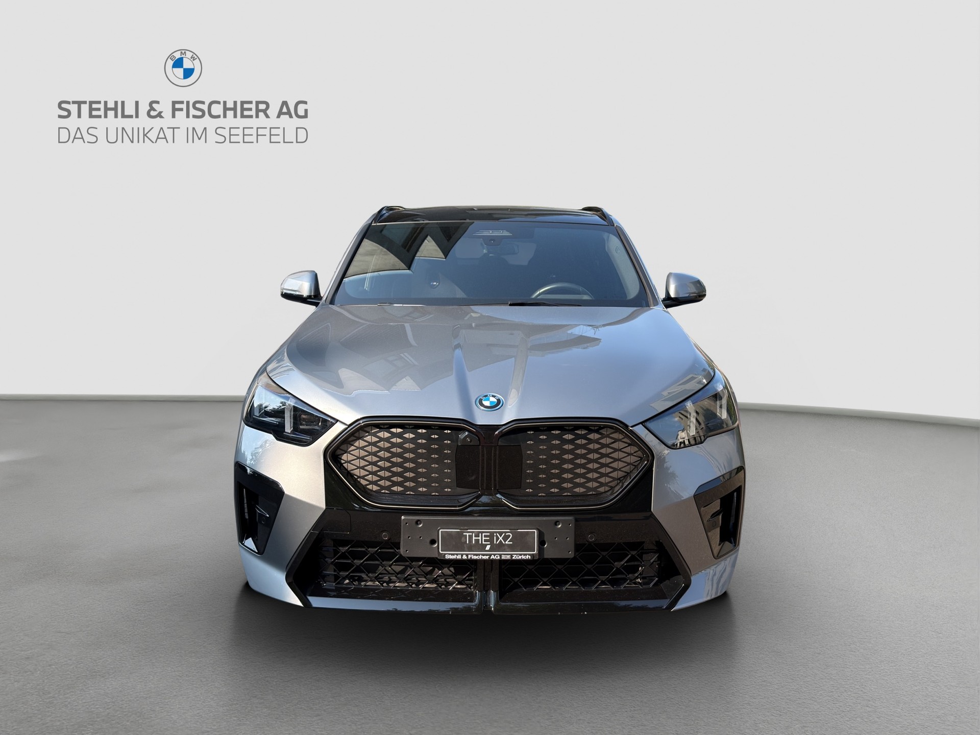 BMW iX2 xDrive 30 M Sport Pro-image-1