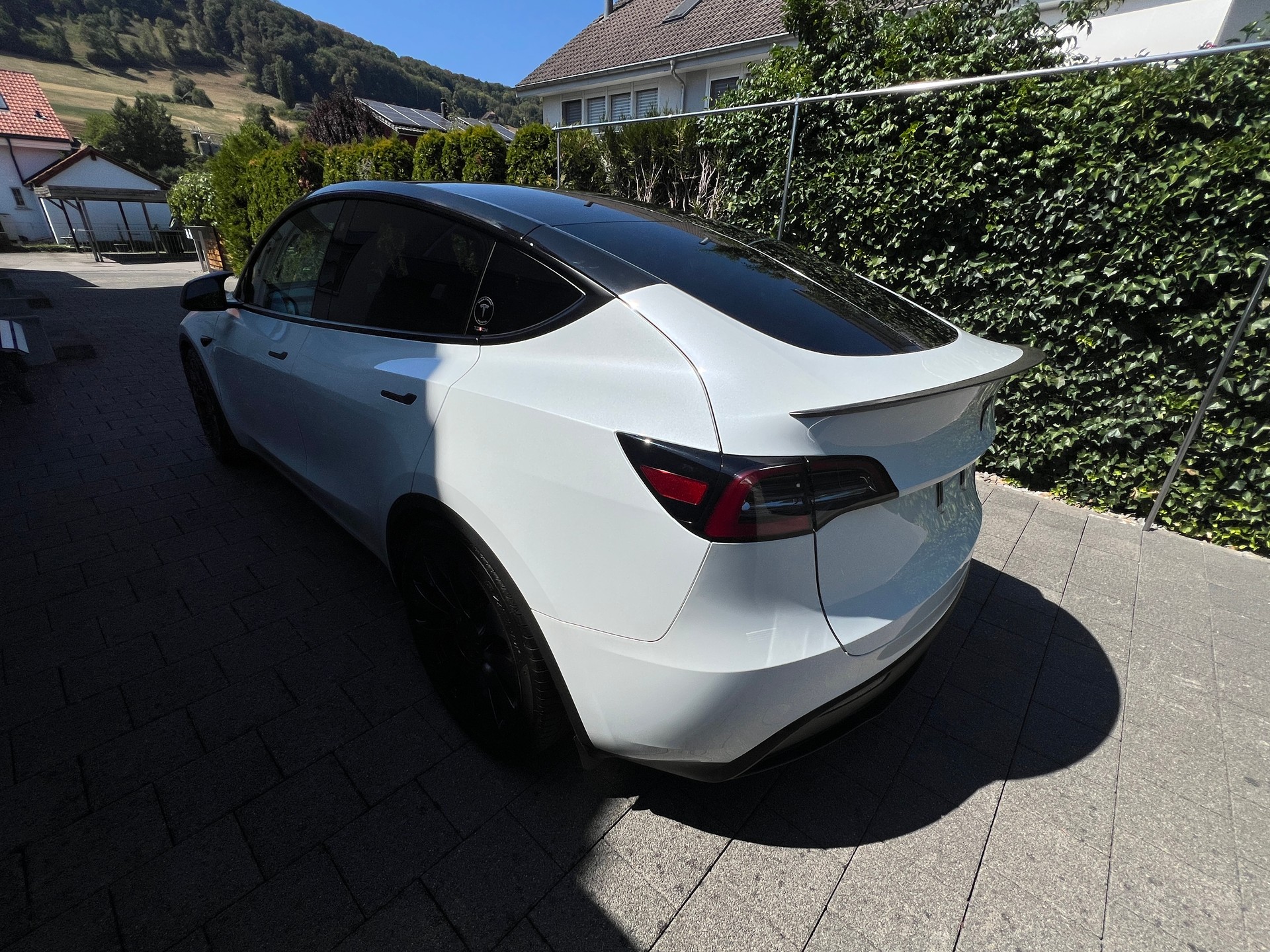 TESLA Performance-image-3