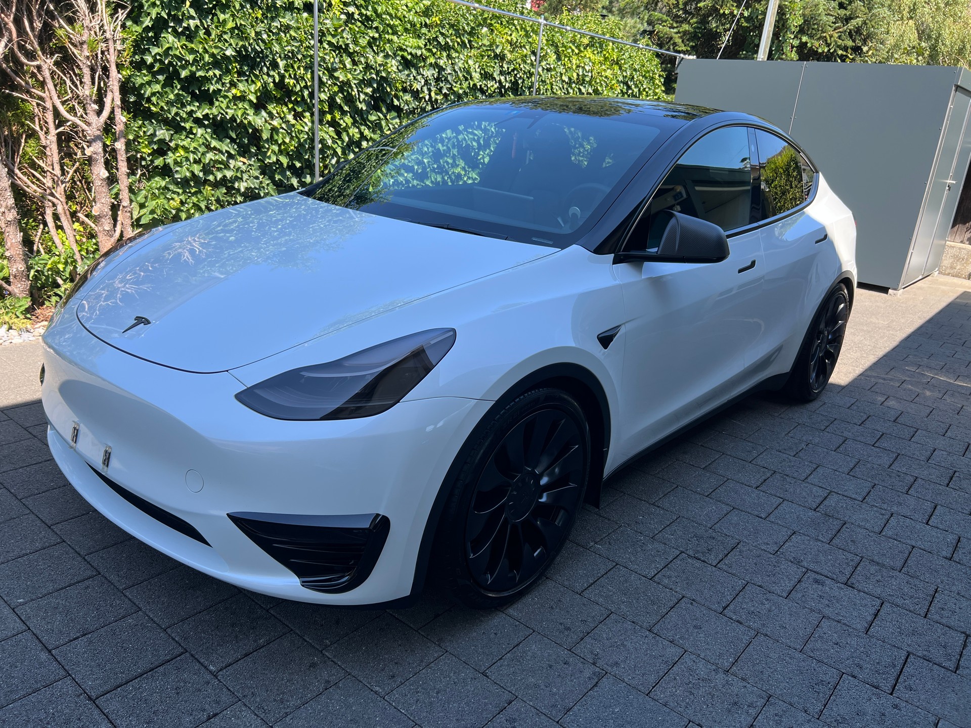 TESLA Performance-image-0