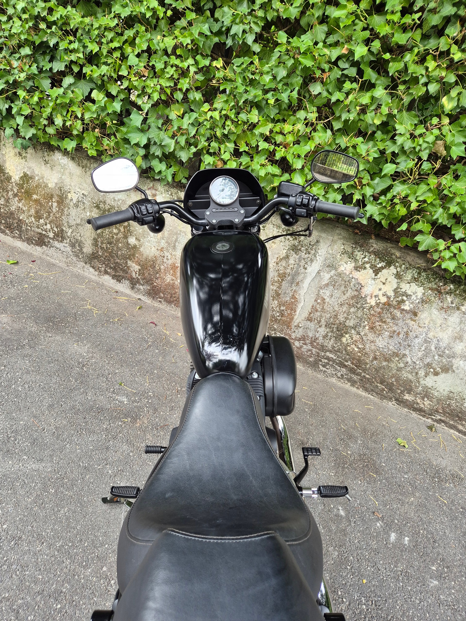HARLEY-DAVIDSON XL 883 N Sportster Iron ABS-image-8