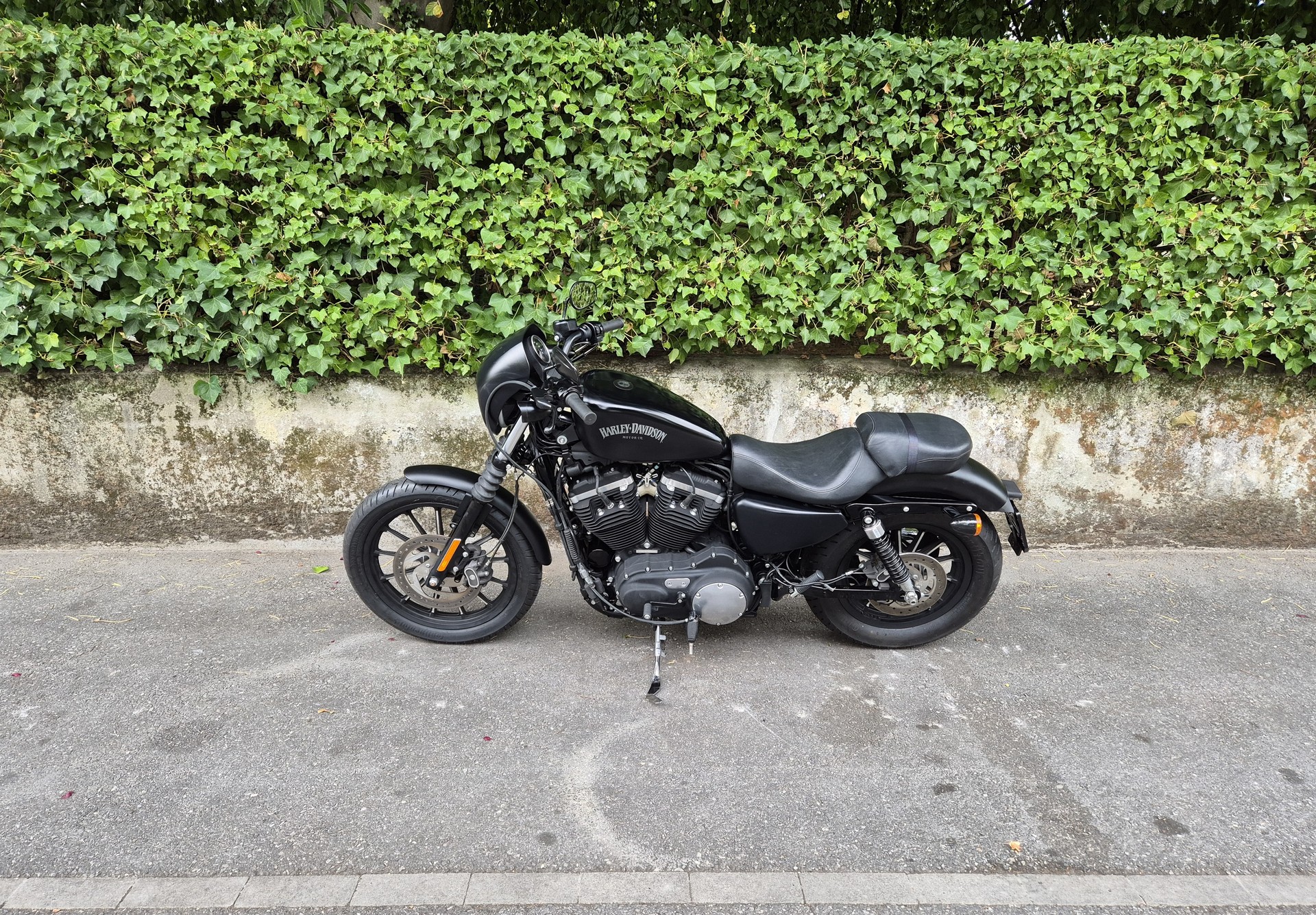 HARLEY-DAVIDSON XL 883 N Sportster Iron ABS-showroom-element-3