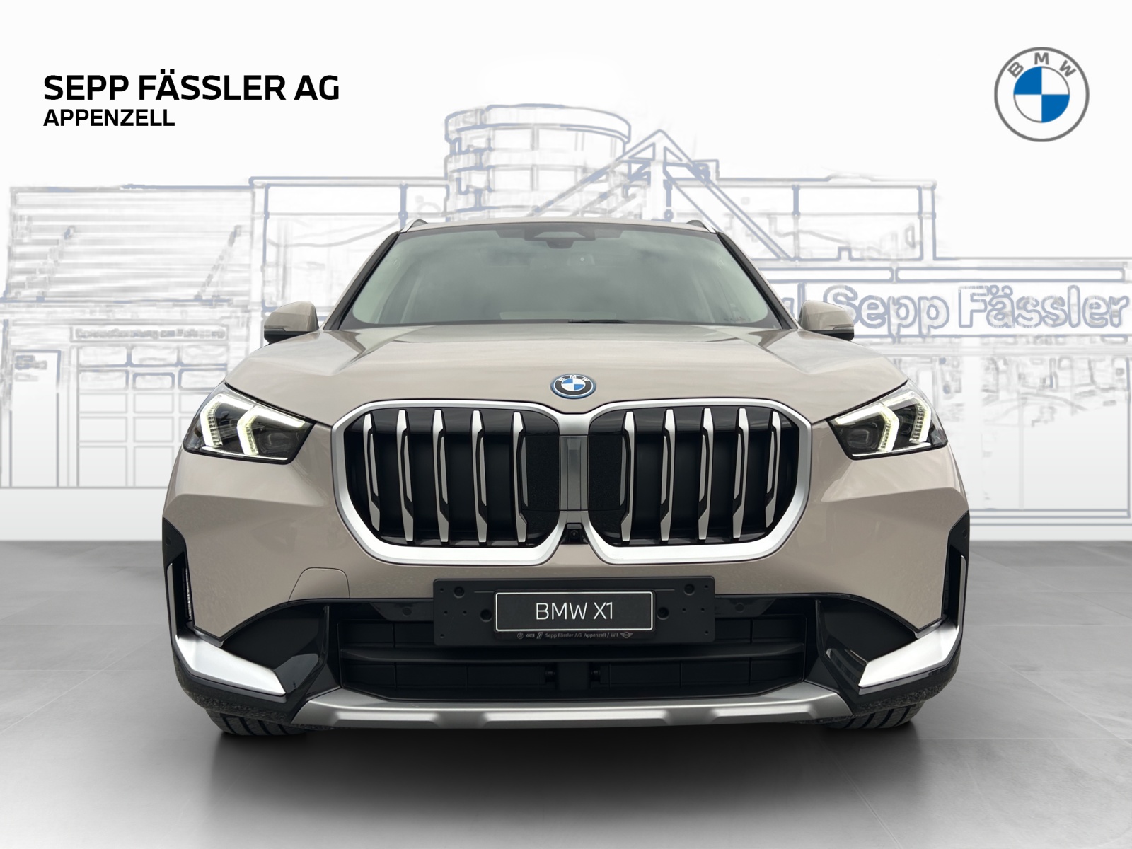 BMW X1 xDrive30e-image-8
