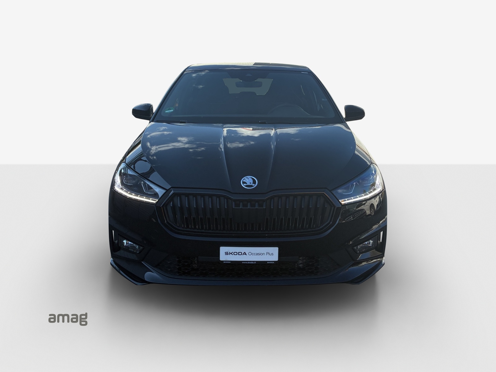 SKODA Fabia 1.0 TSI Monte Carlo DSG-image-6