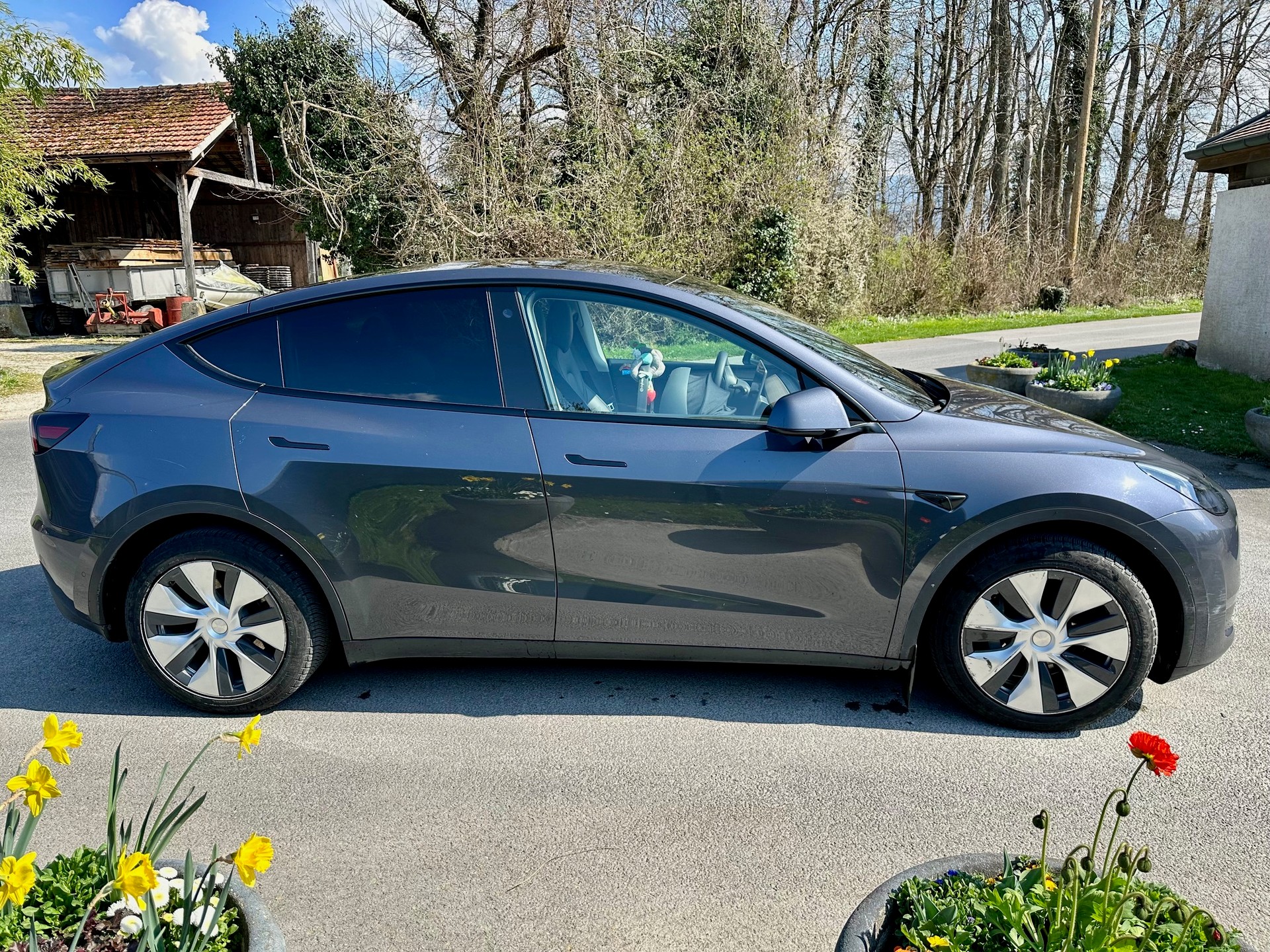 TESLA Model Y Long Range-image-2